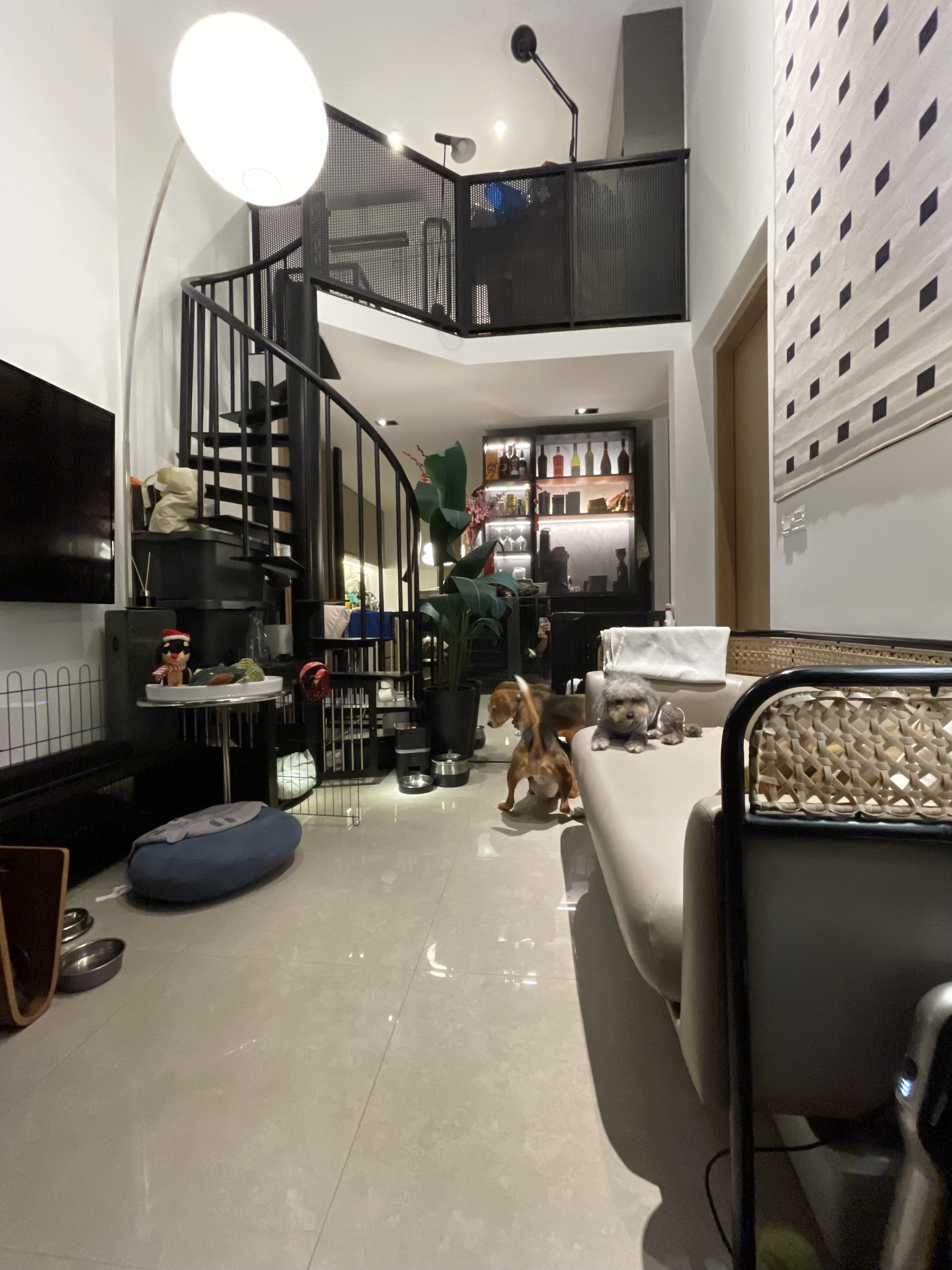 image-44