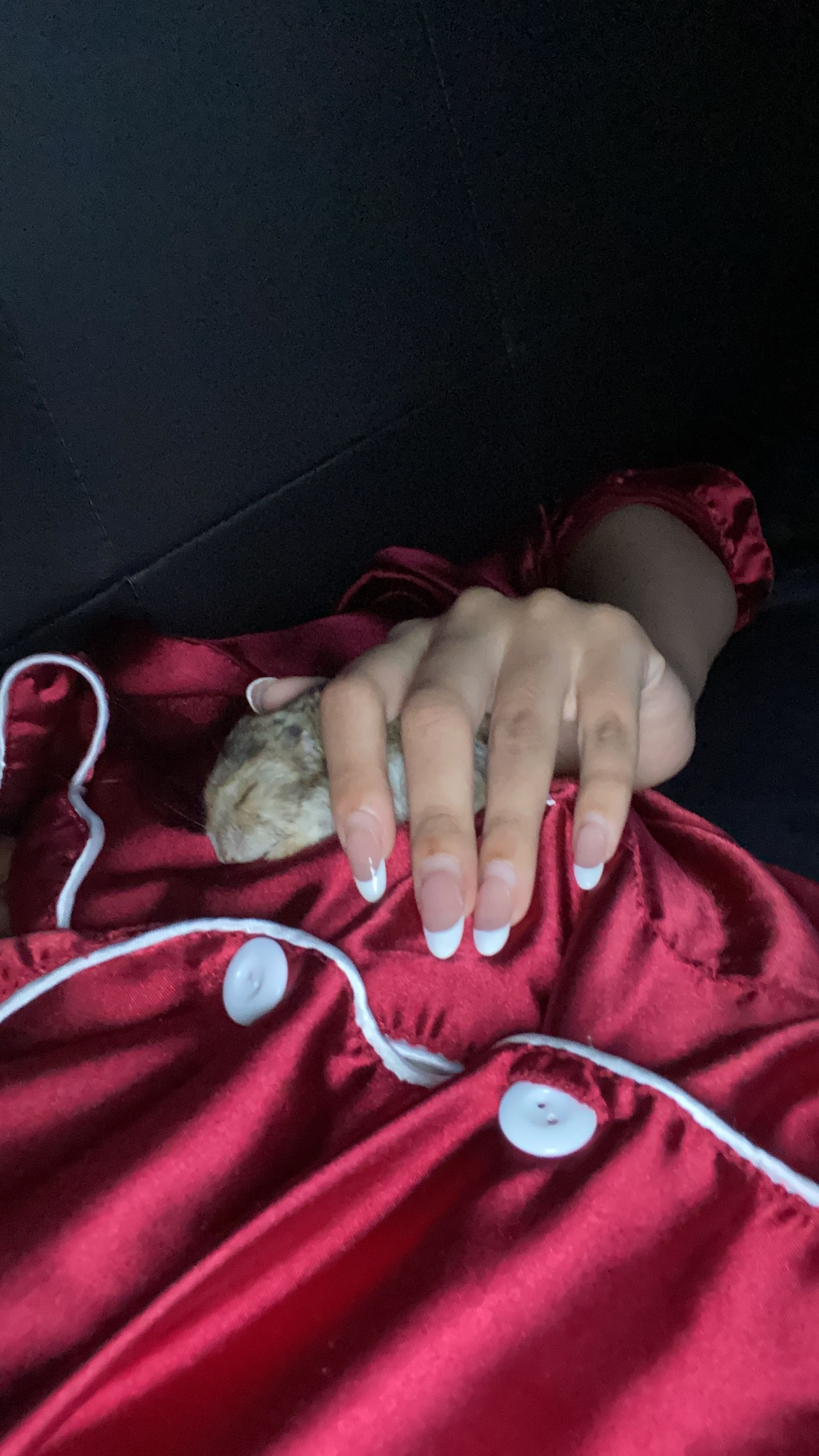 image-5