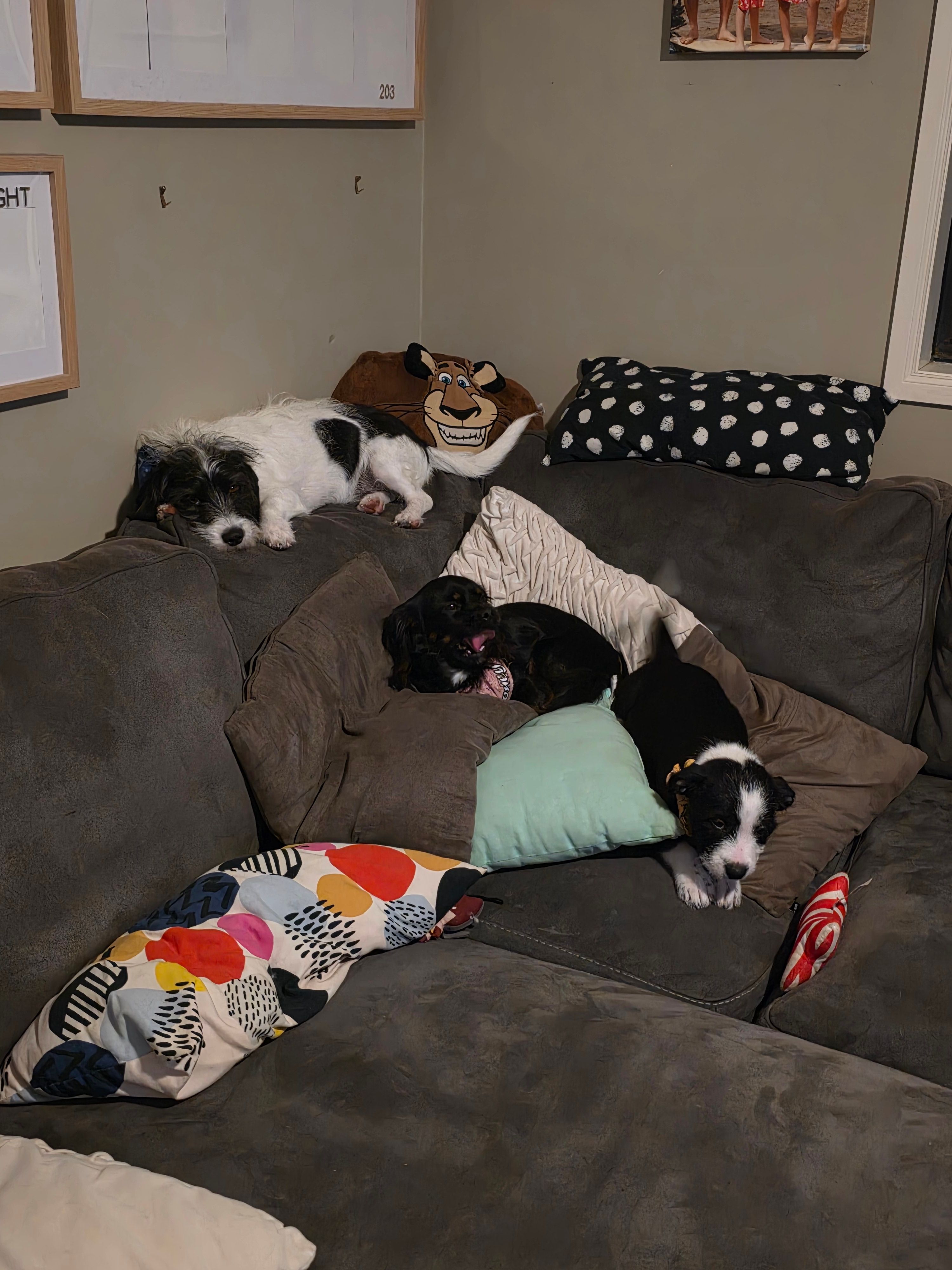 image-13
