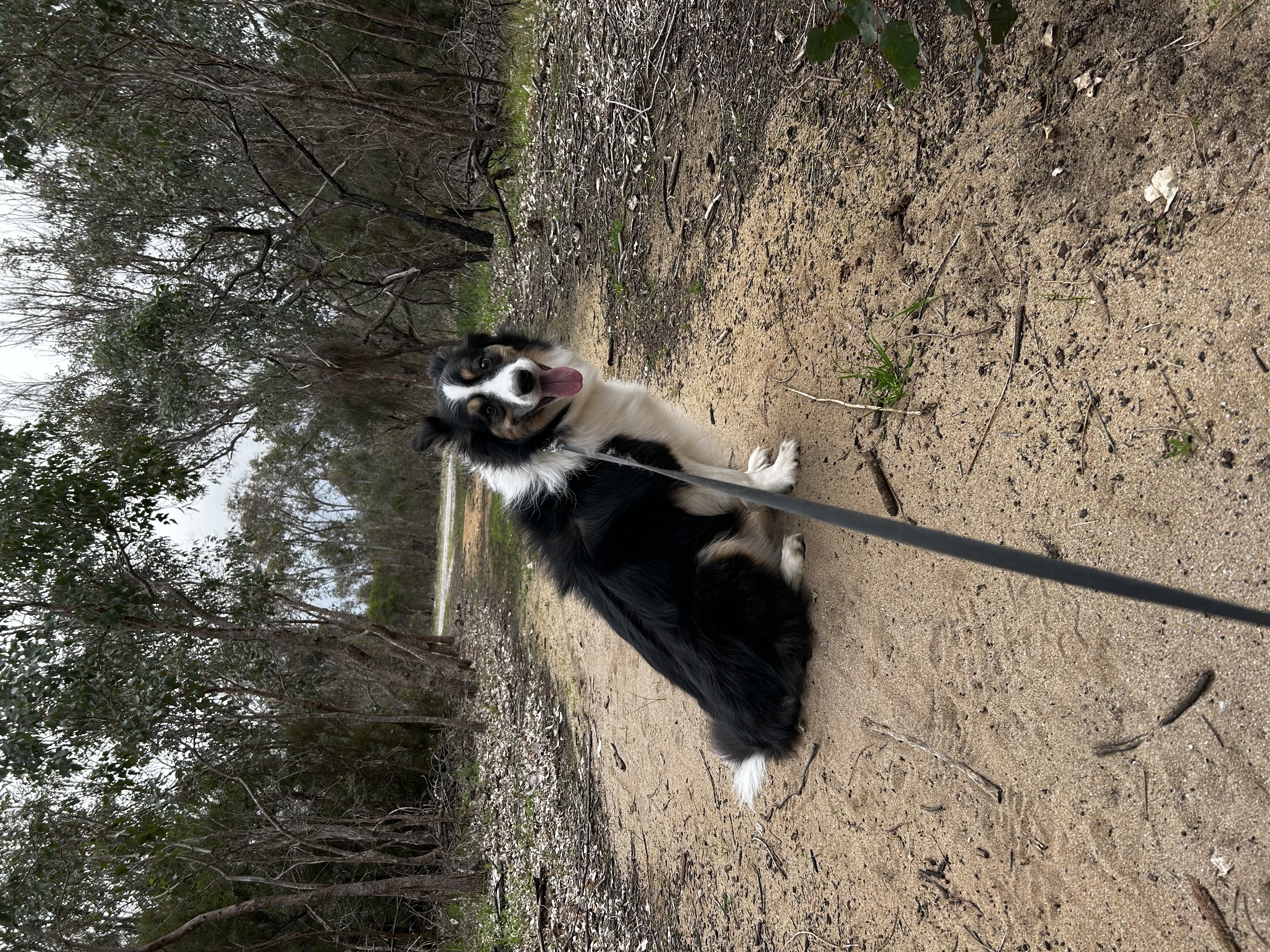 image-5