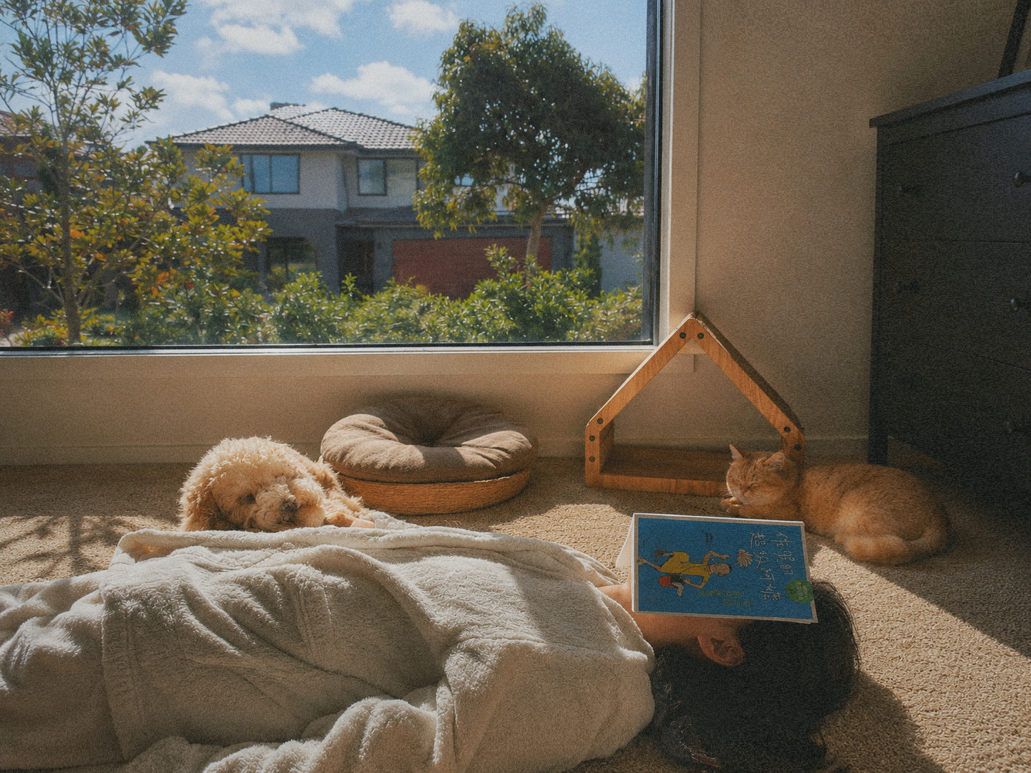 image-4
