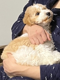 image-6