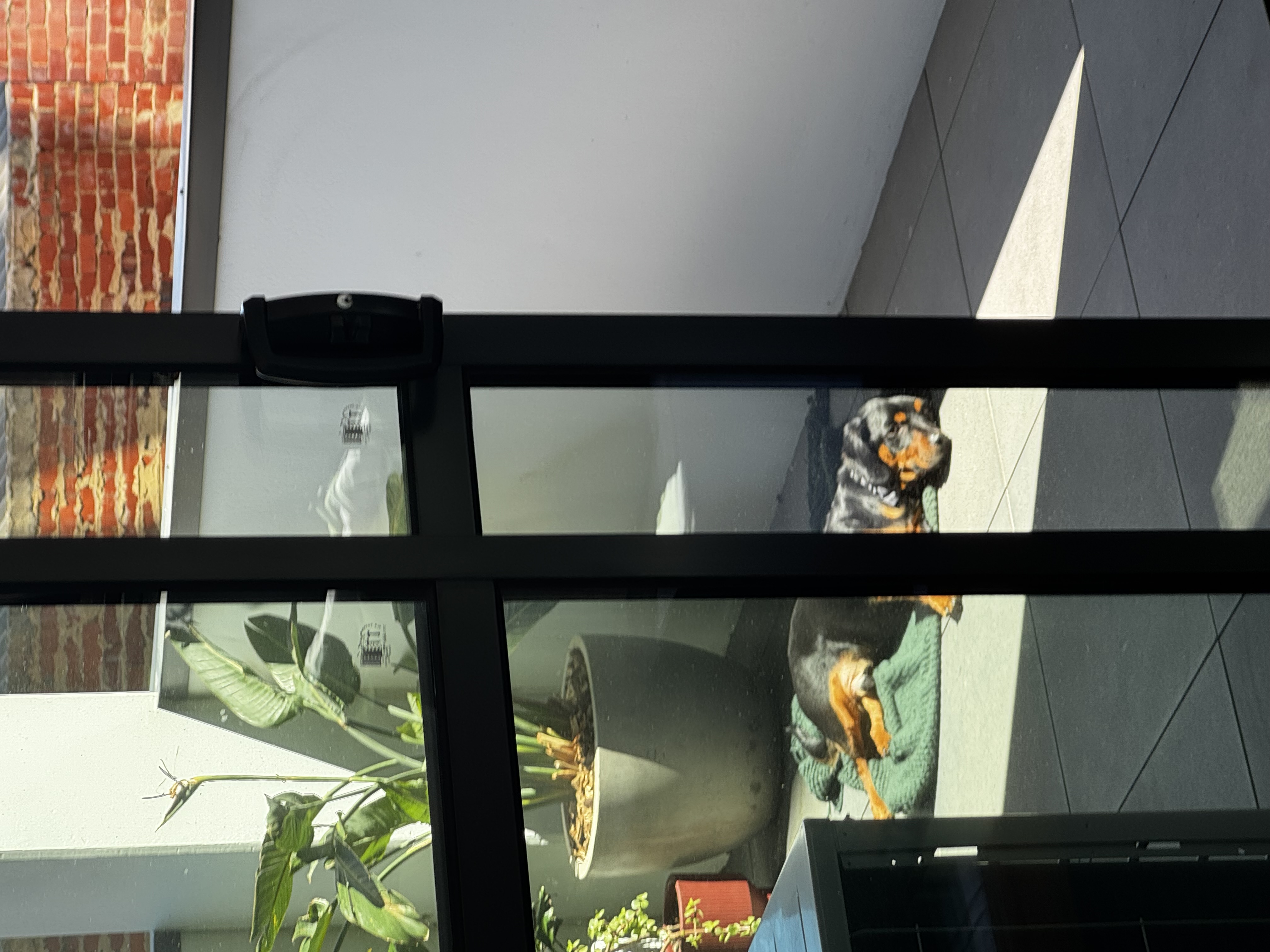 image-2