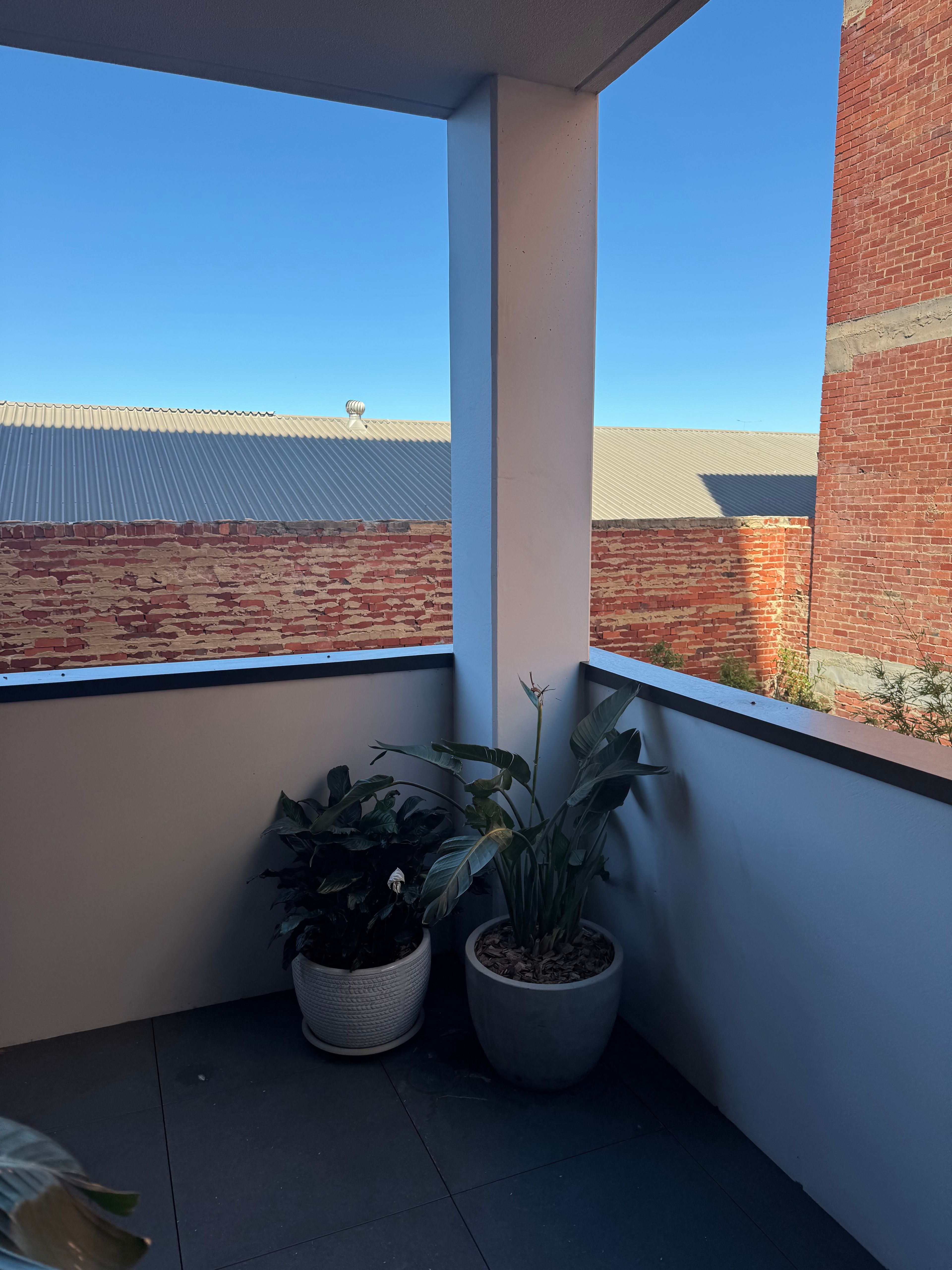 image-19