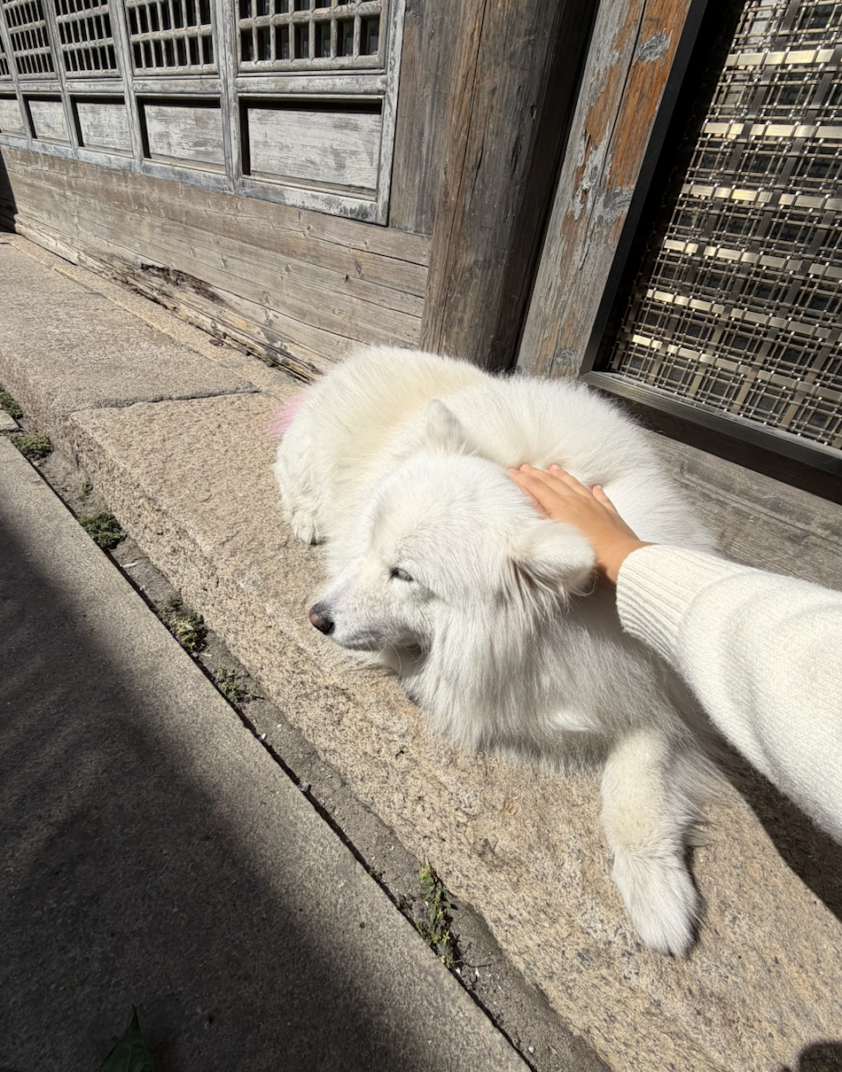 image-8