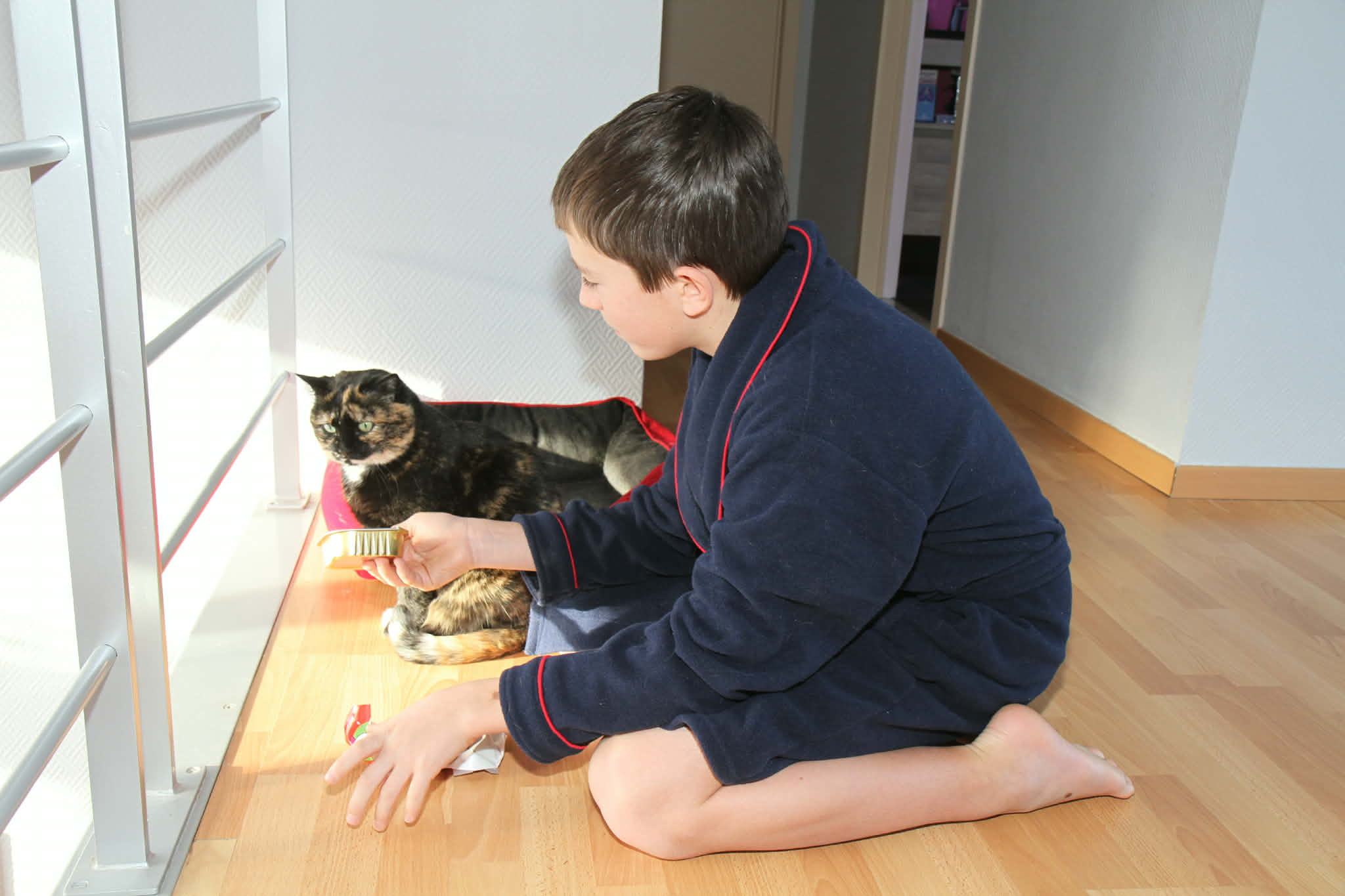 image-10