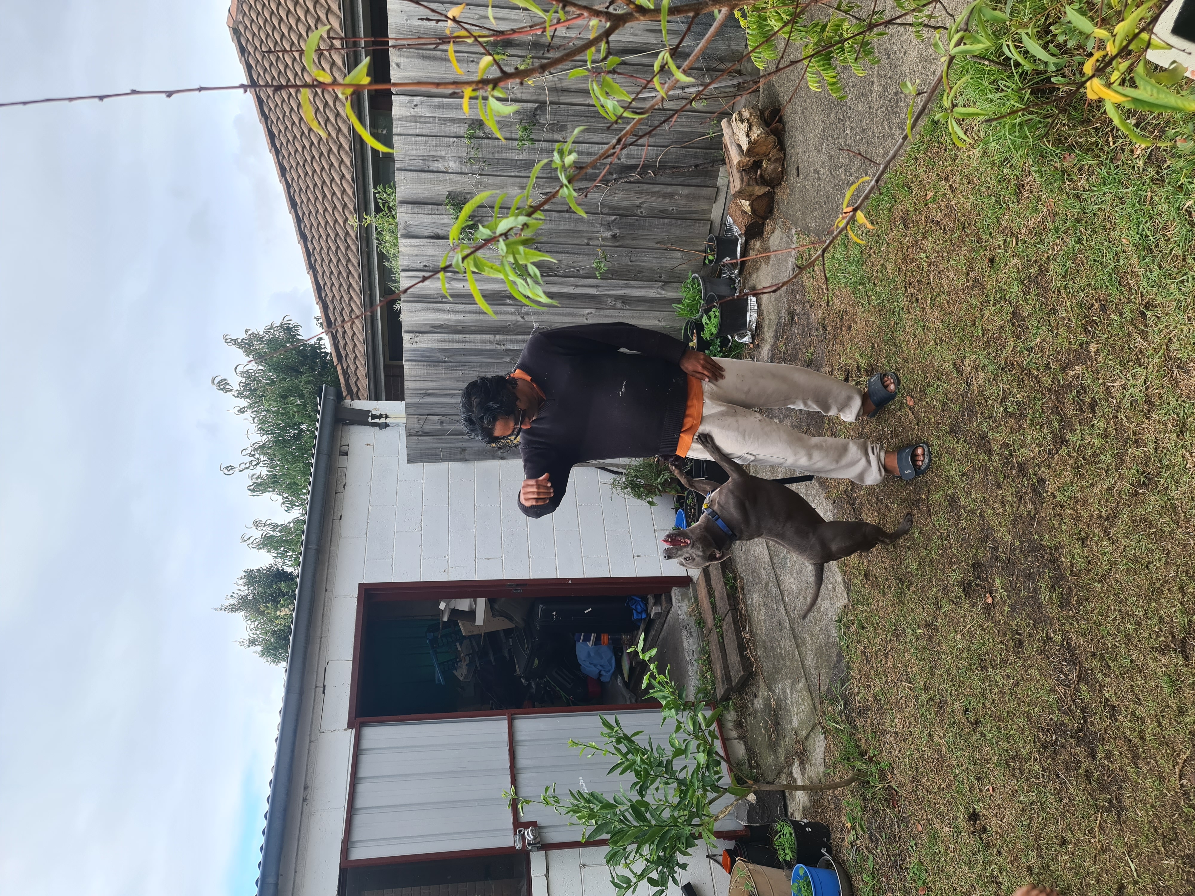 image-10
