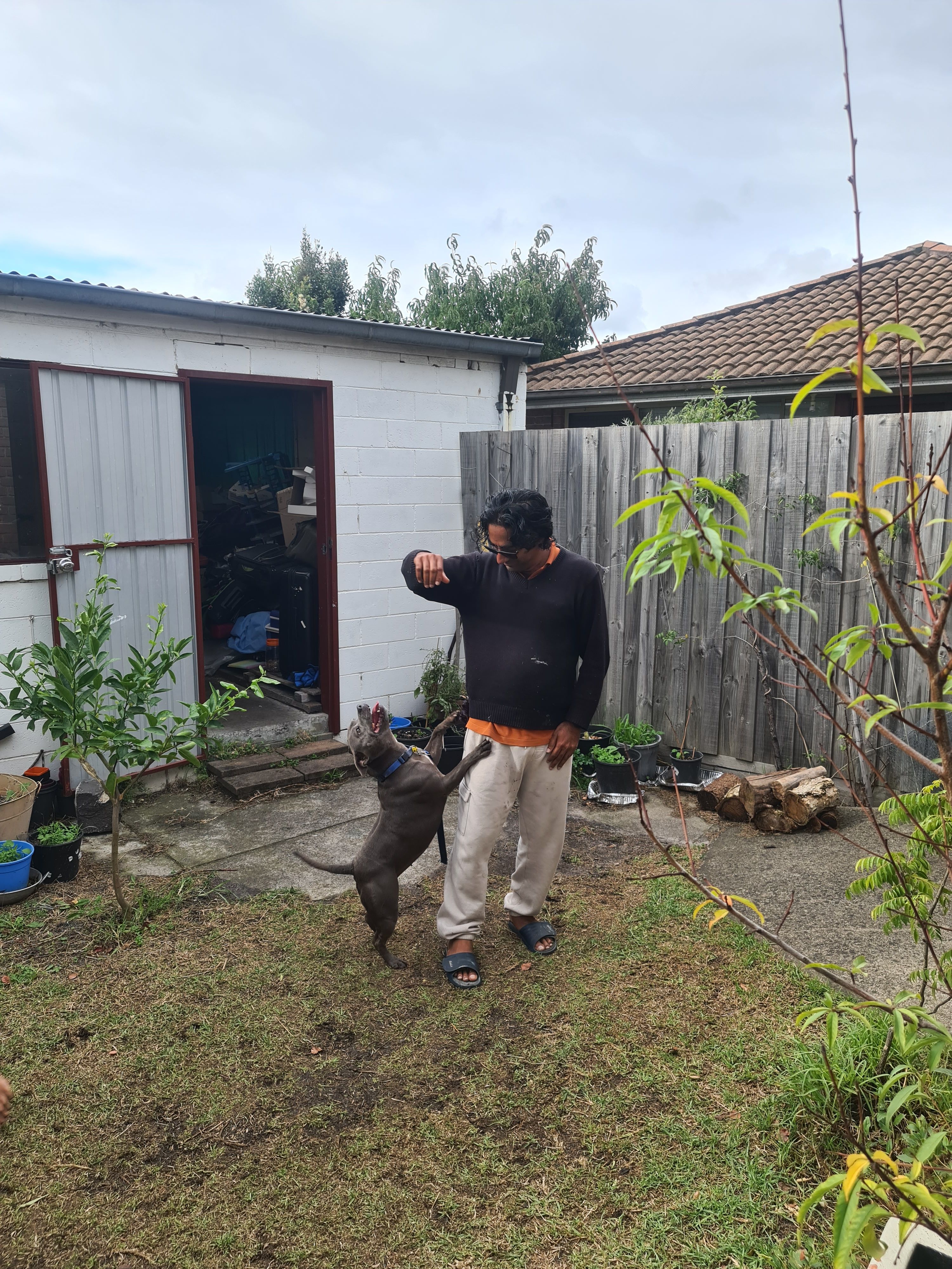 image-10
