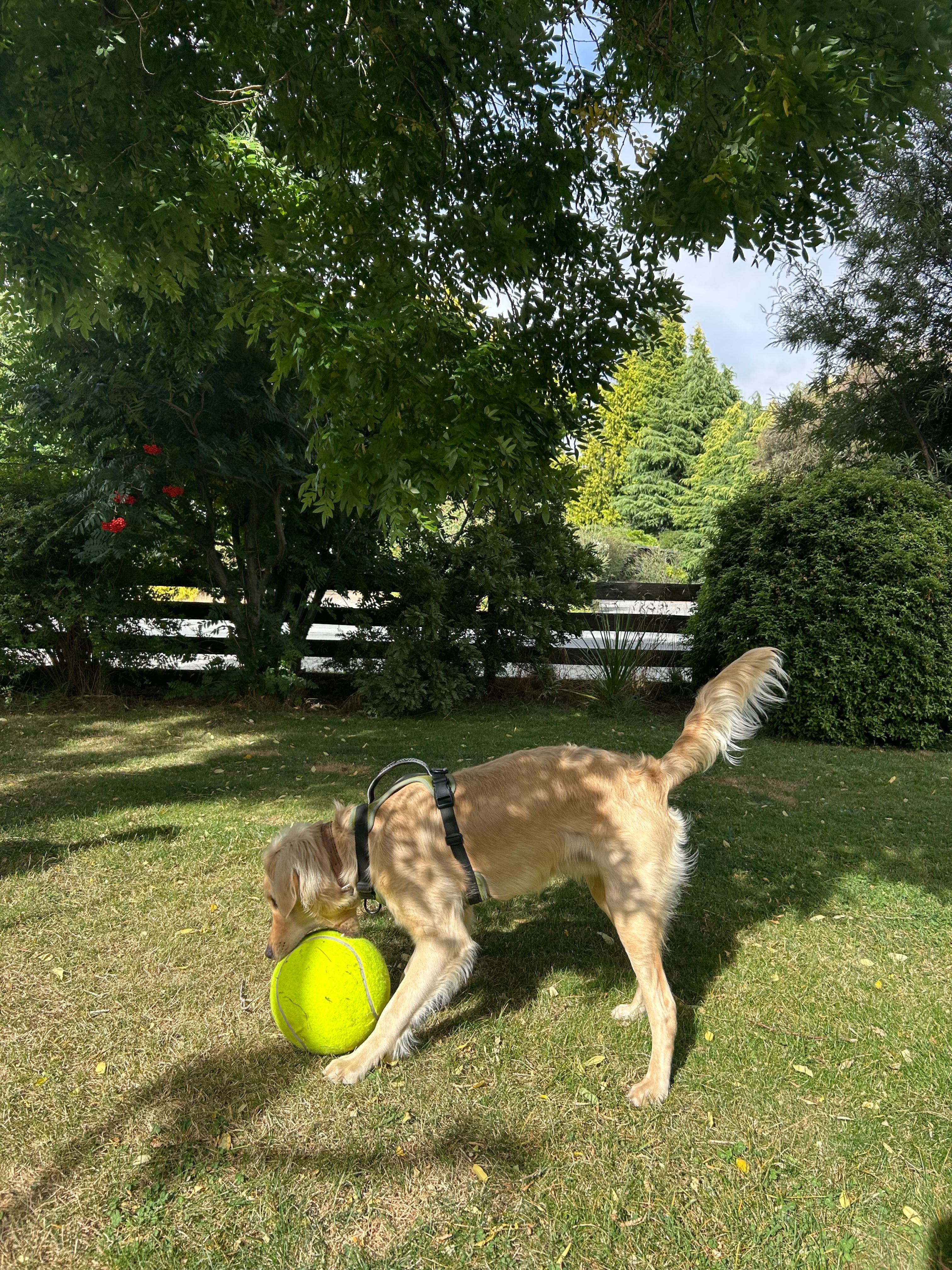 image-10