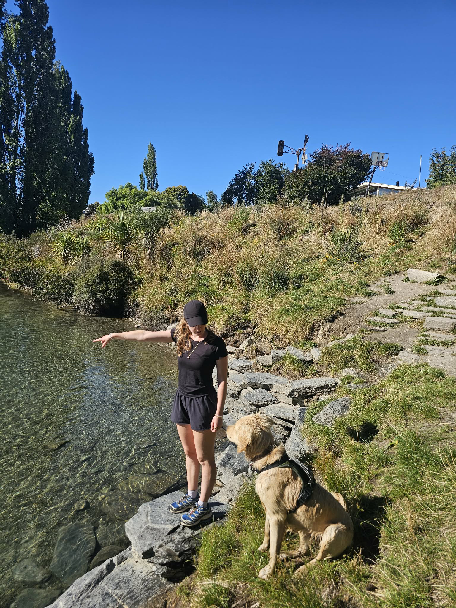 image-7
