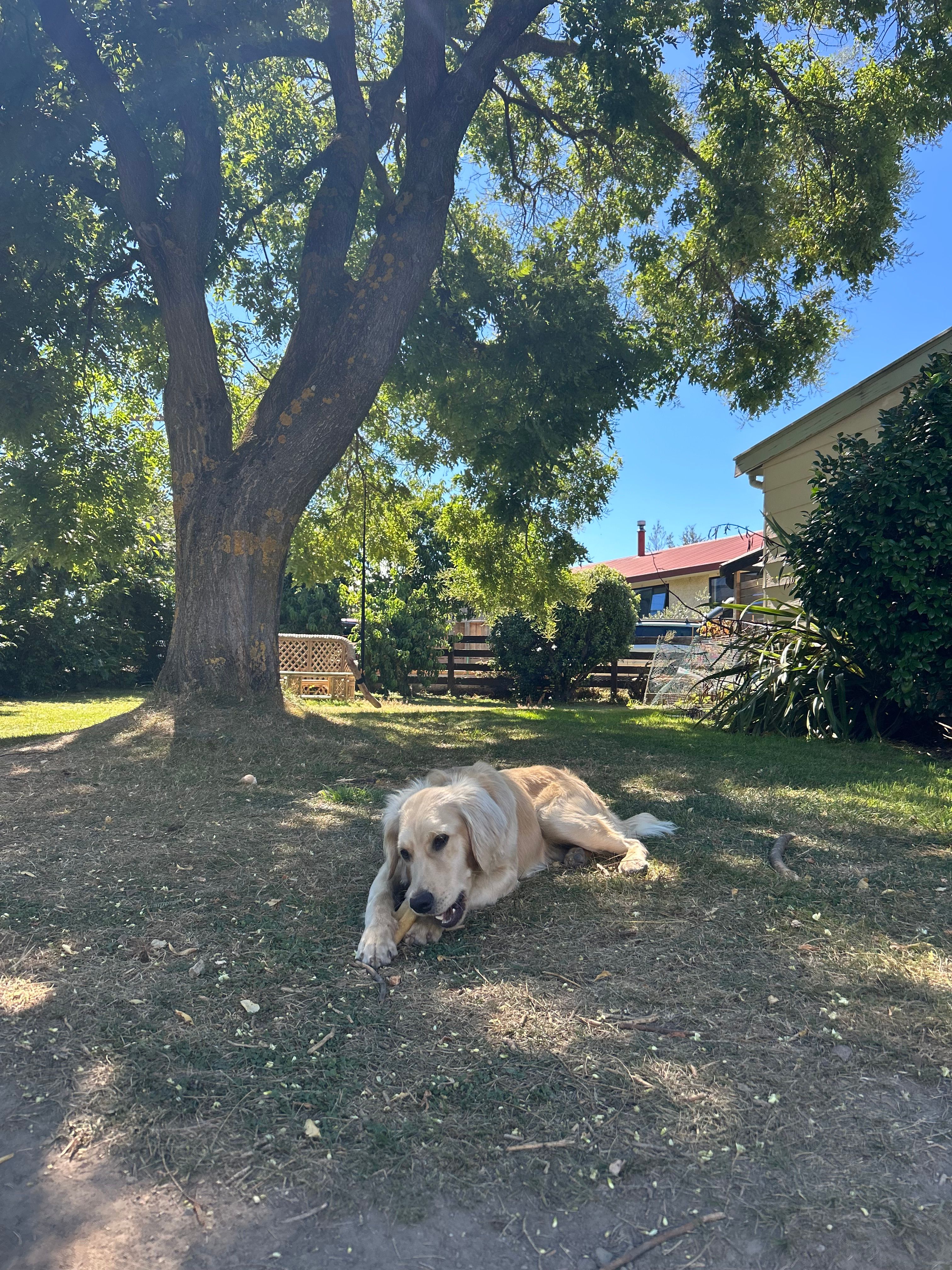 image-11