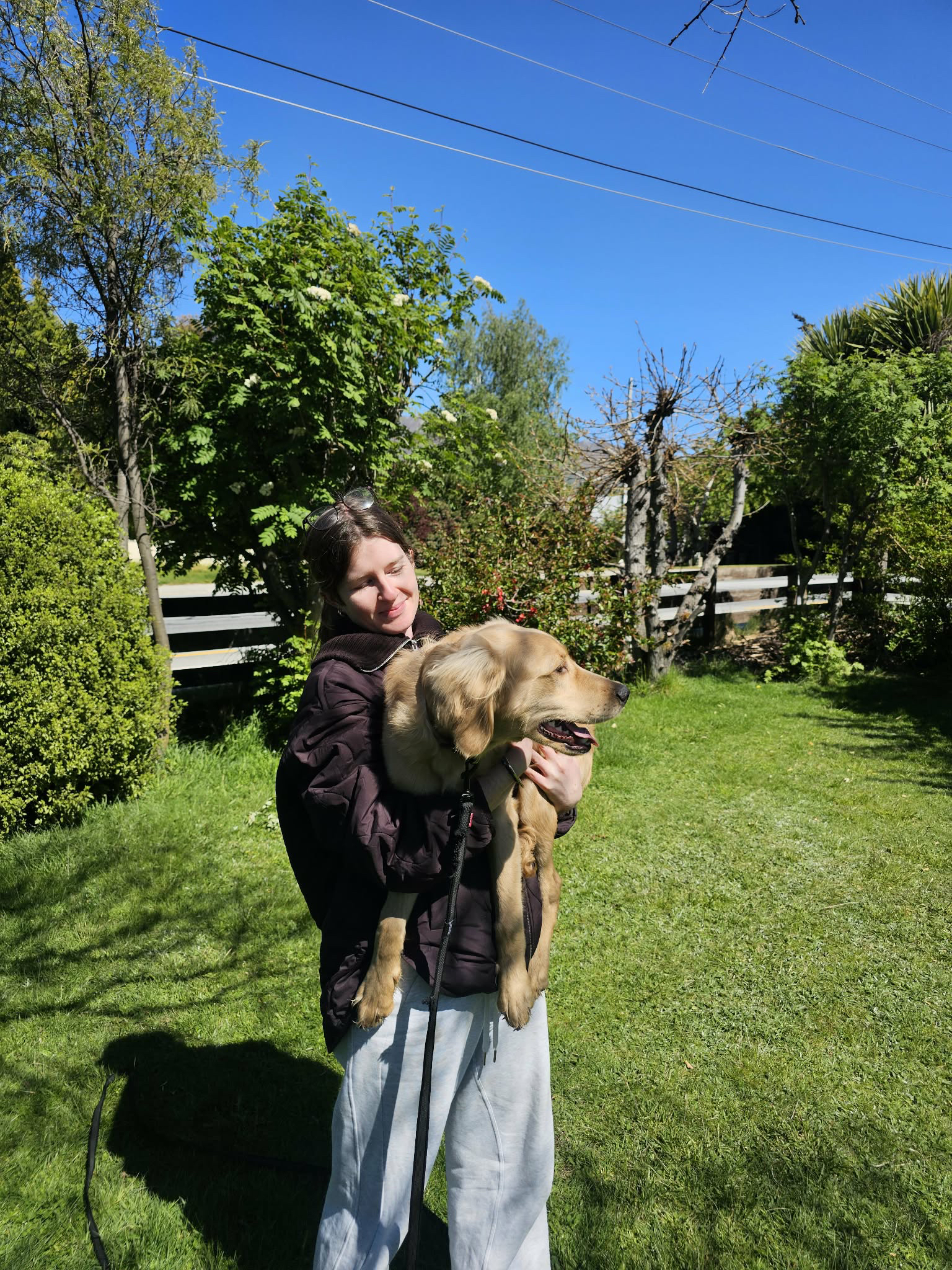 image-8