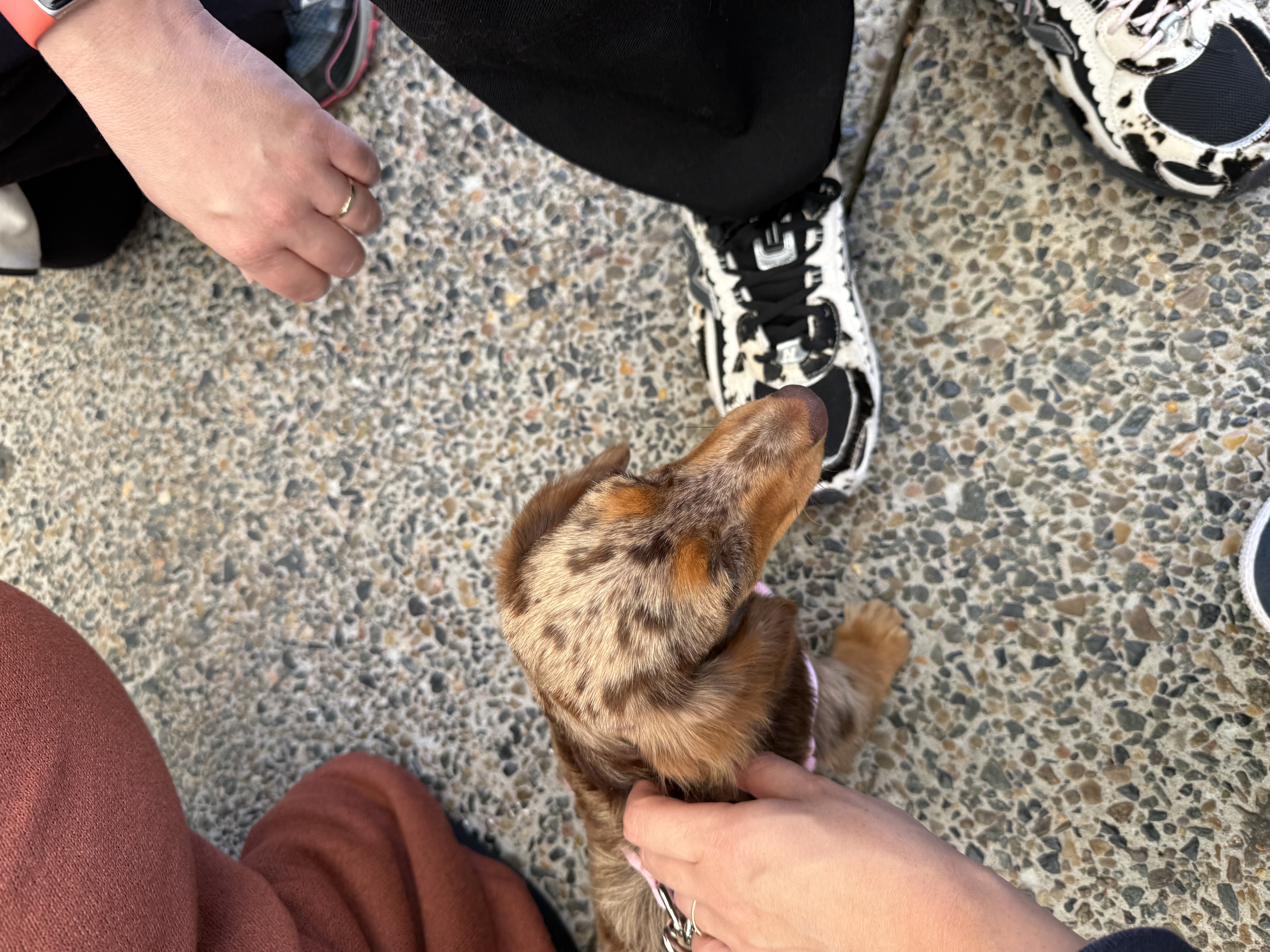 image-9