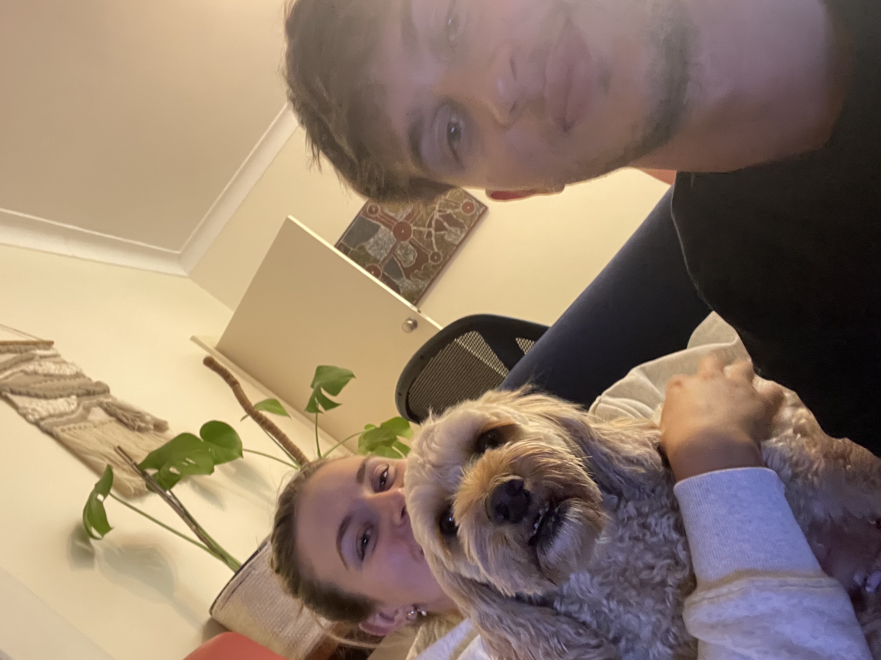 image-7