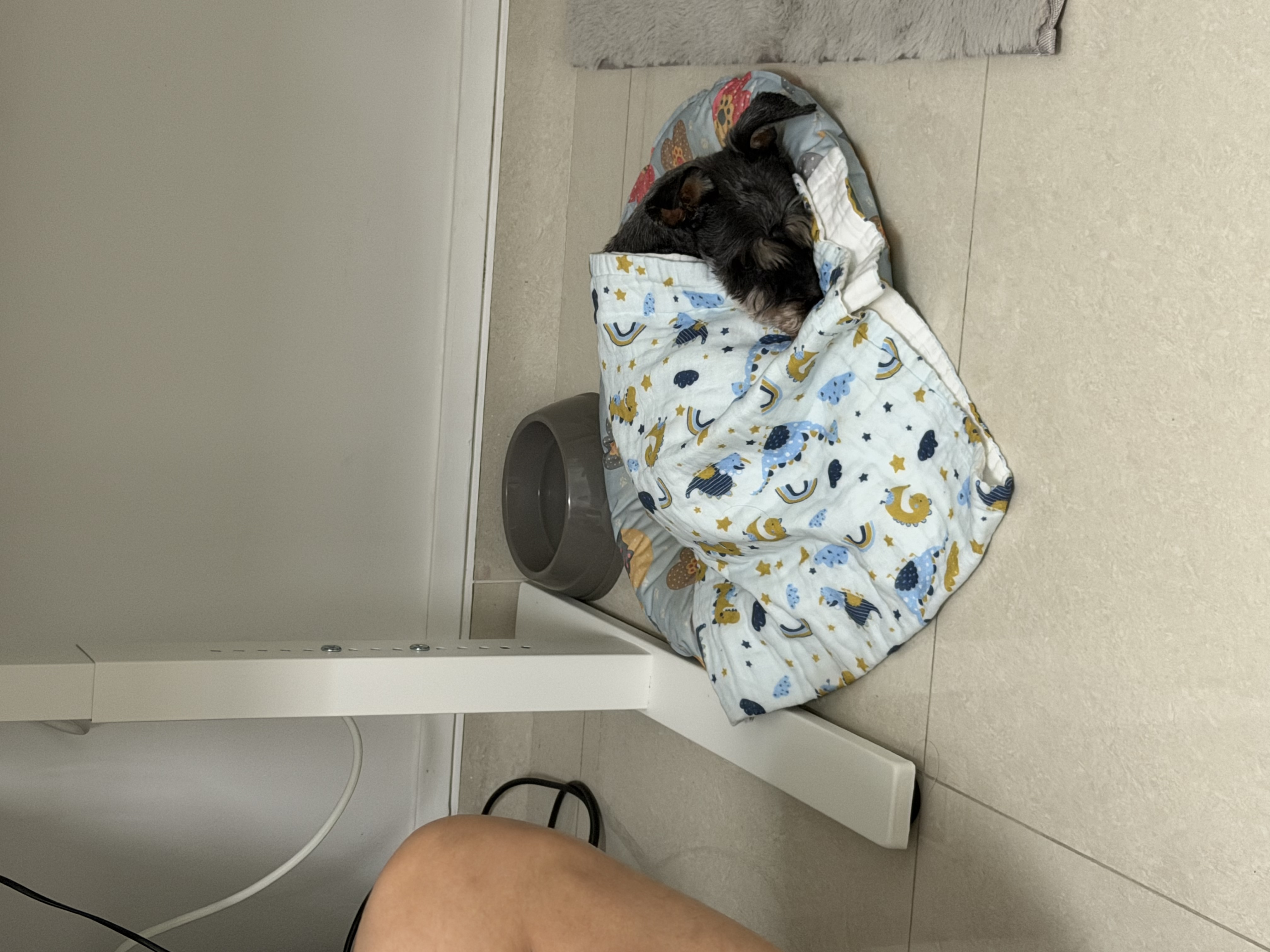 image-6
