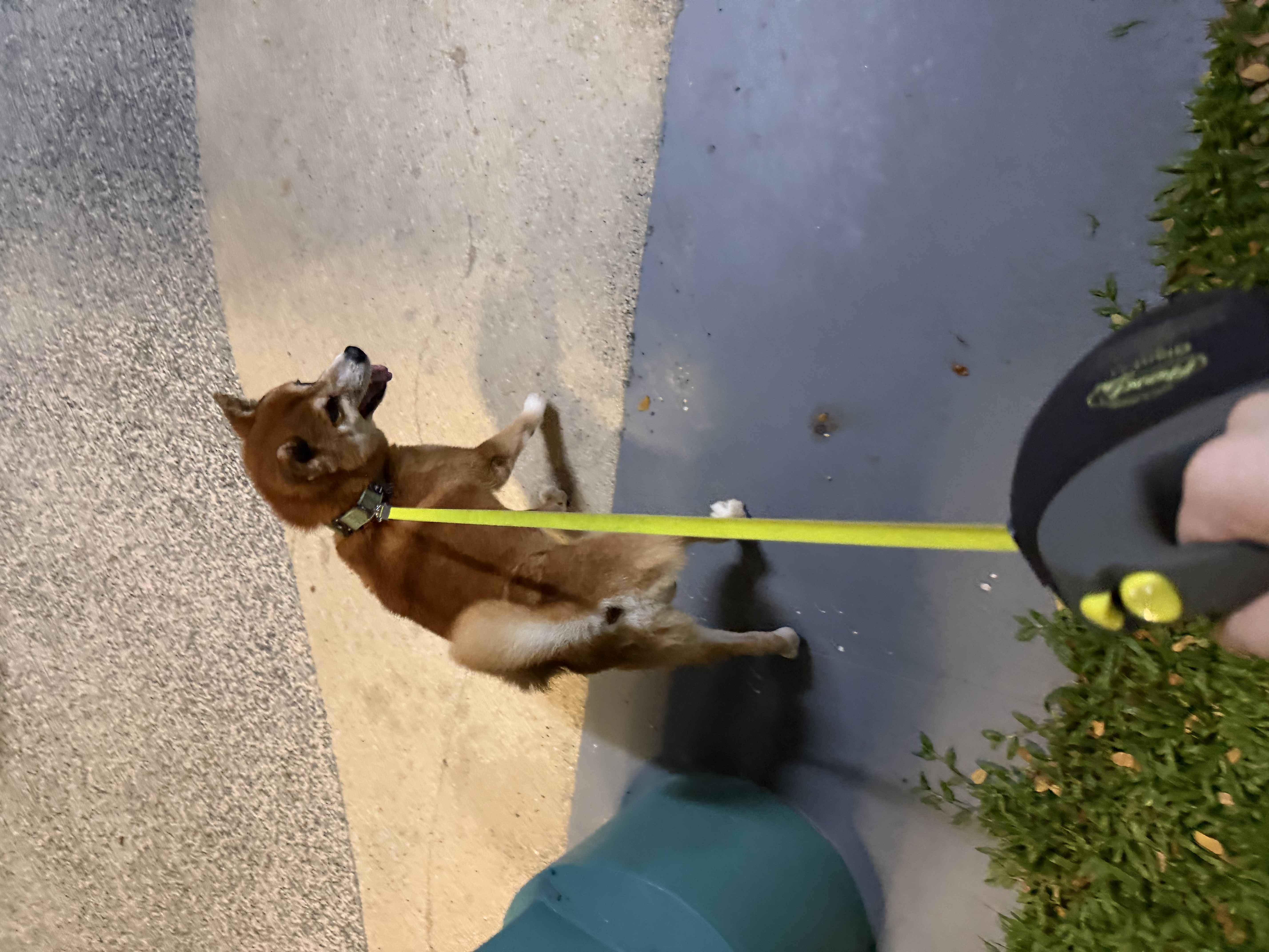 image-7