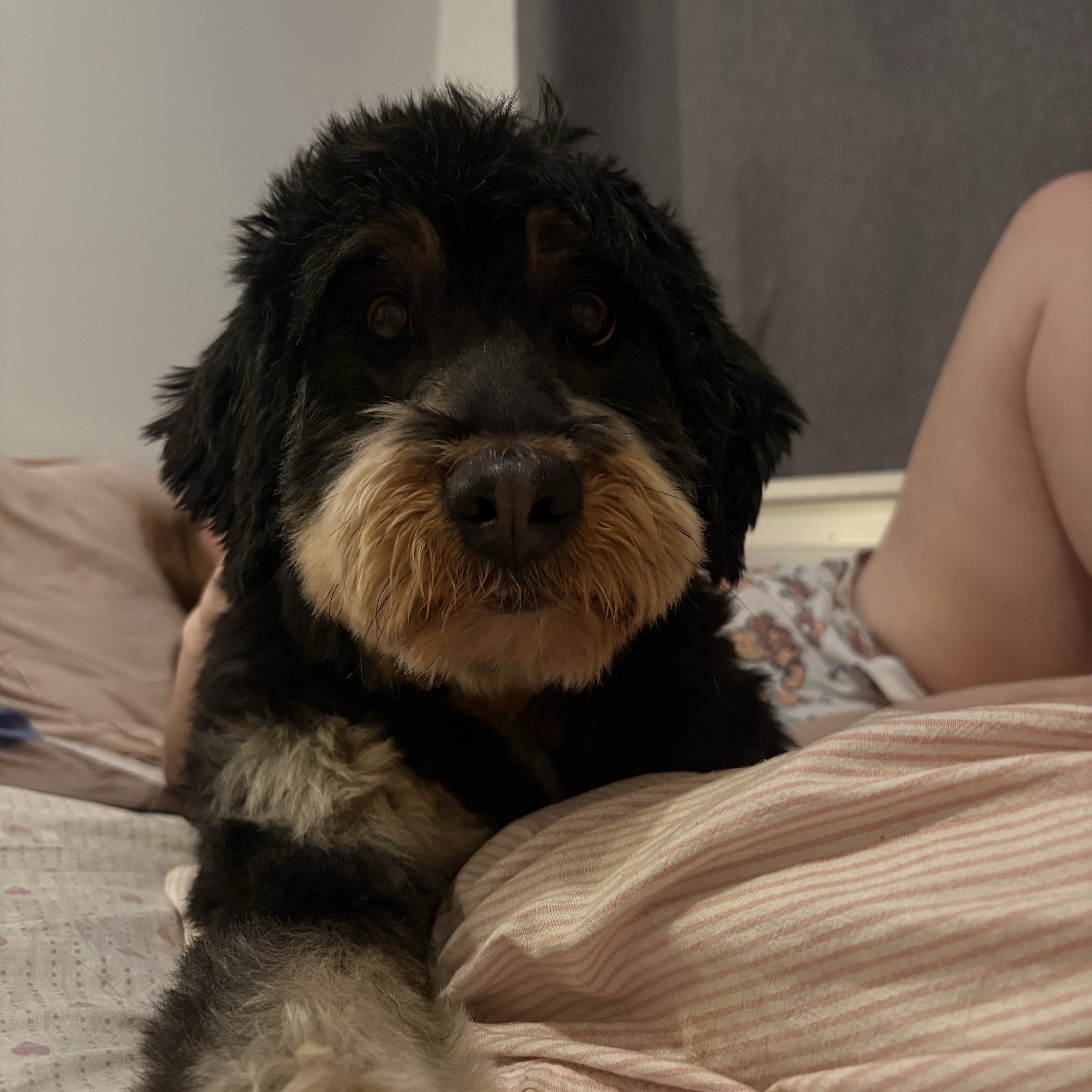 Coco