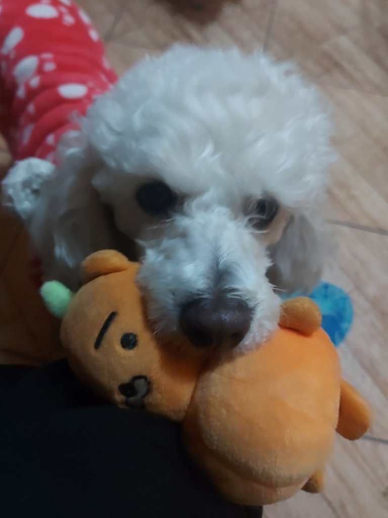 image-6