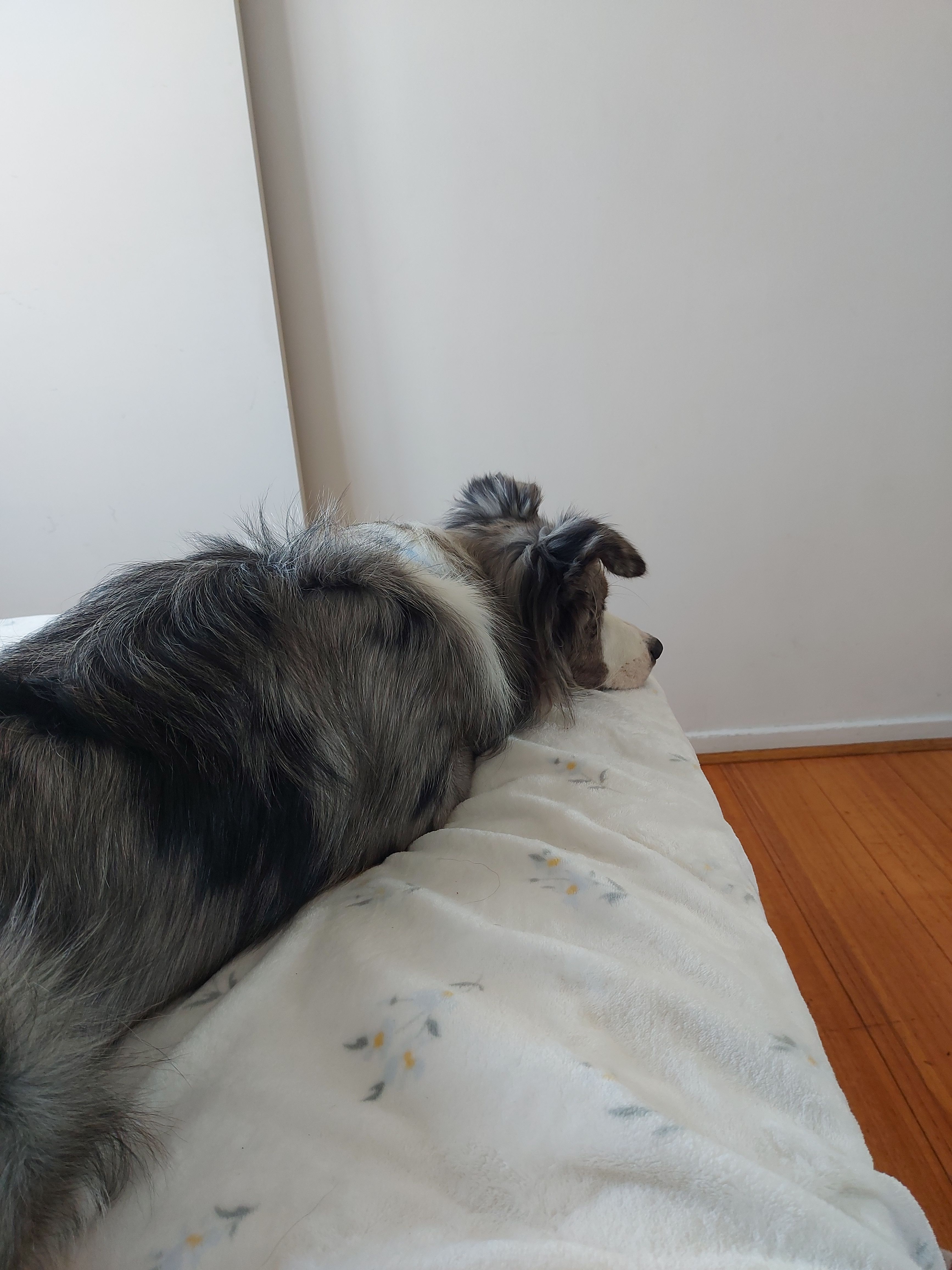 image-17