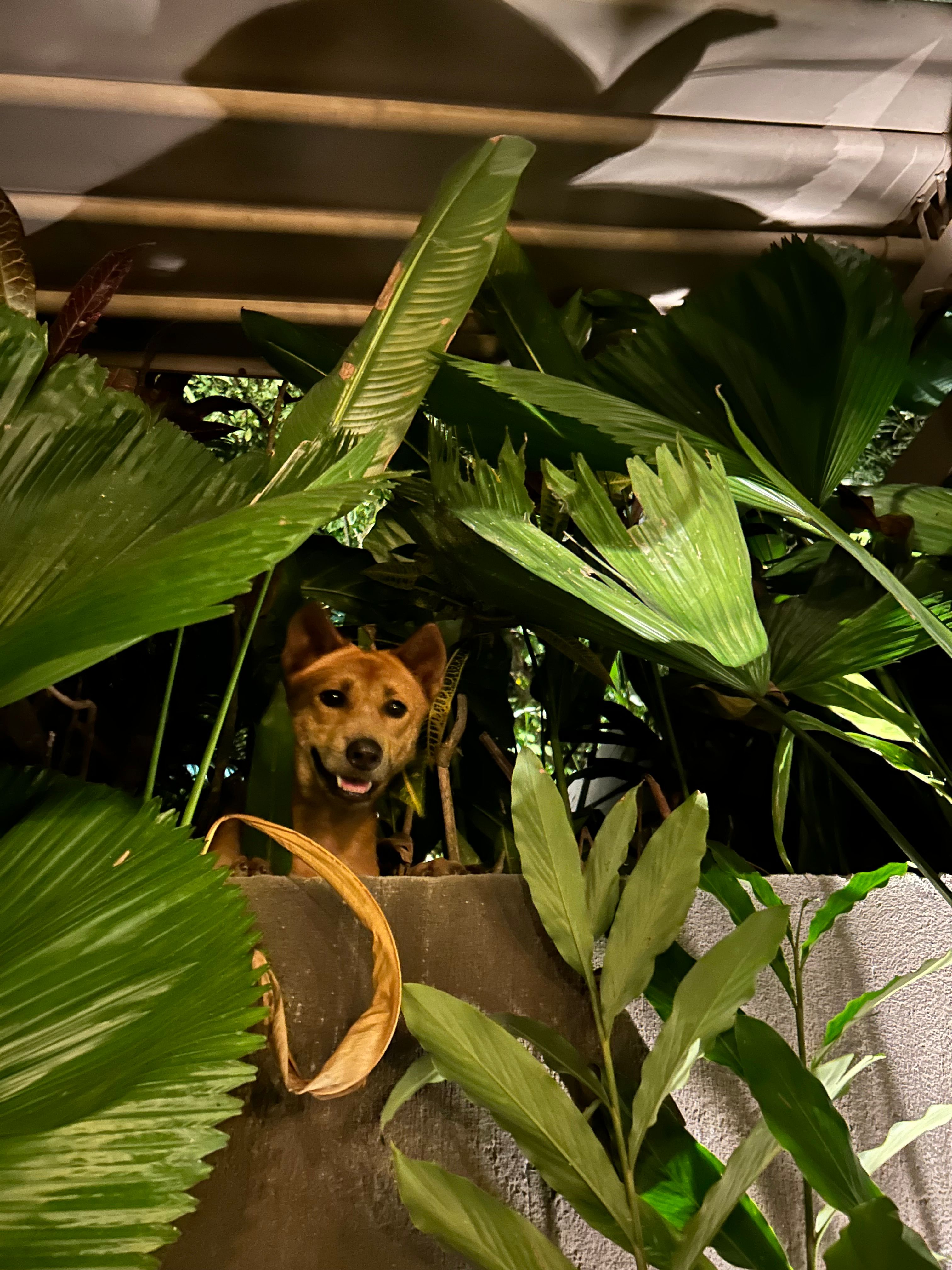 image-8