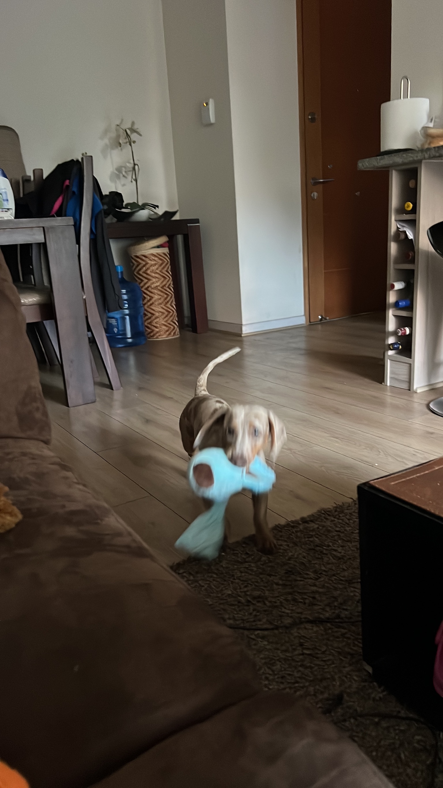 image-5