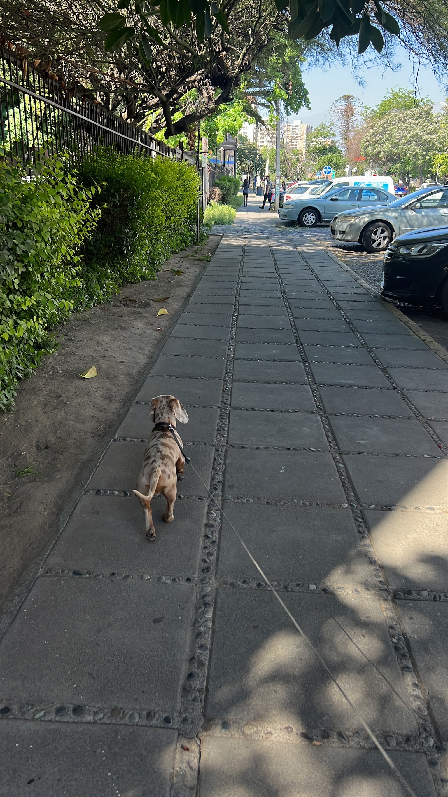 image-19