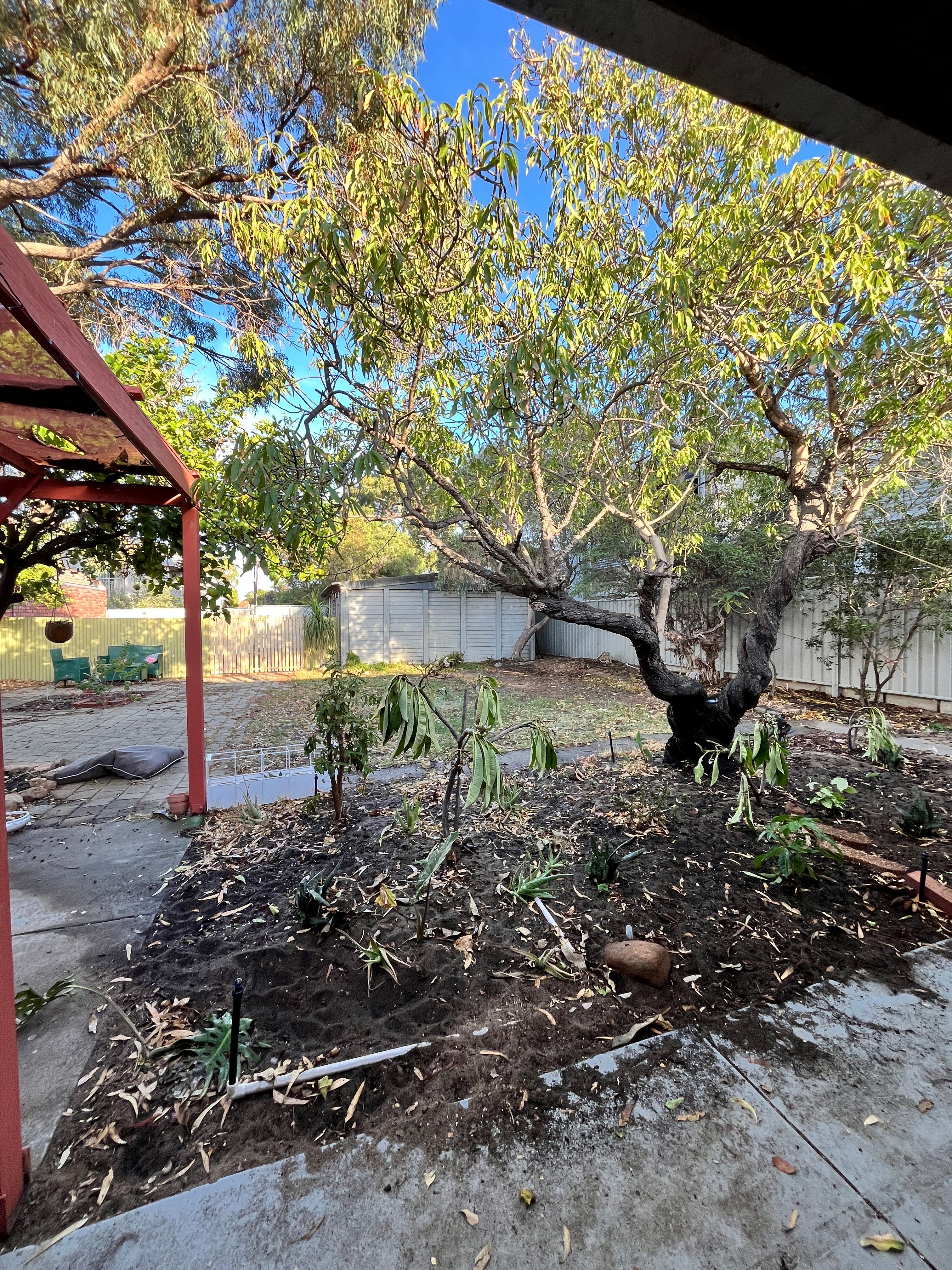 image-15