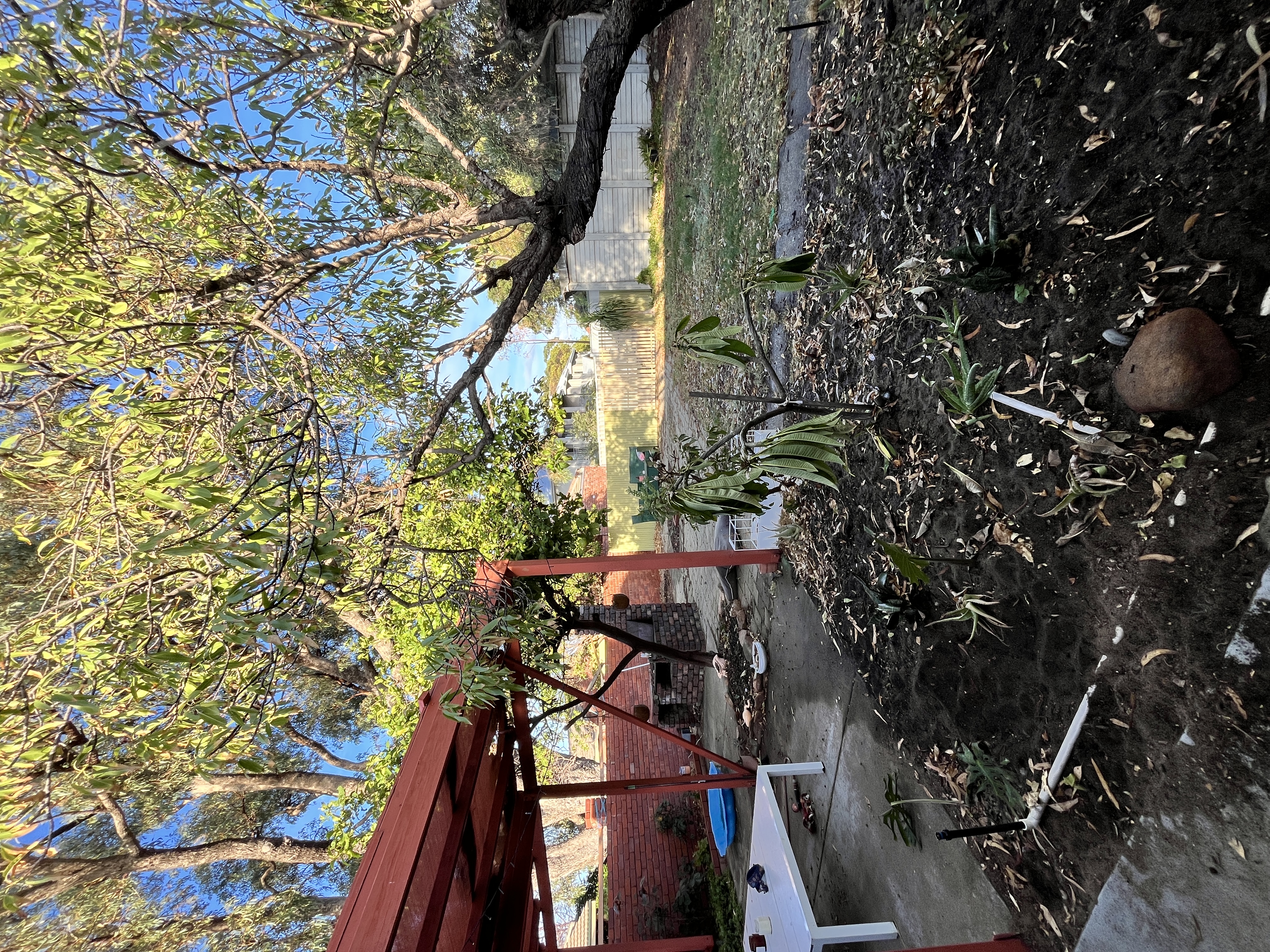 image-14