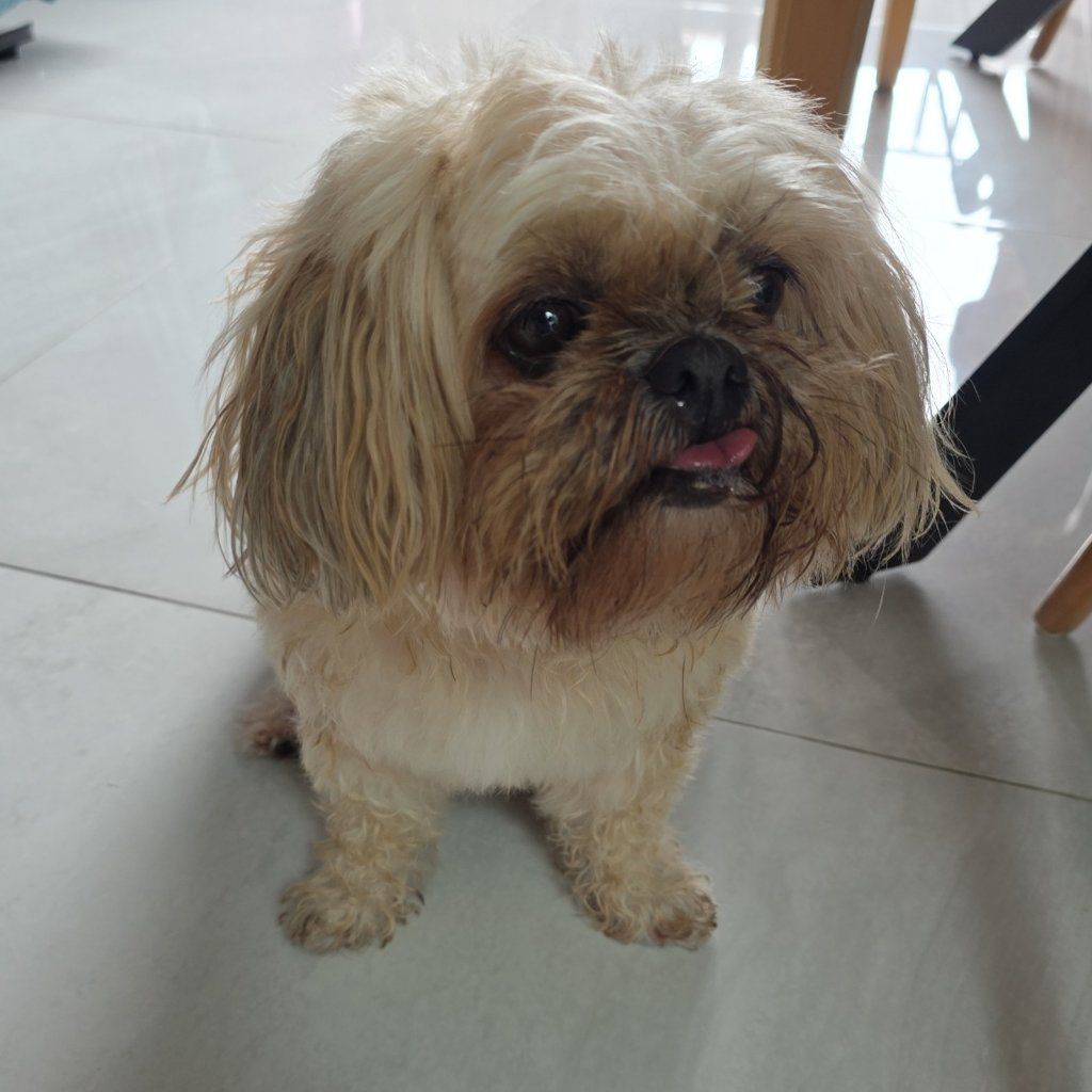 Bailey