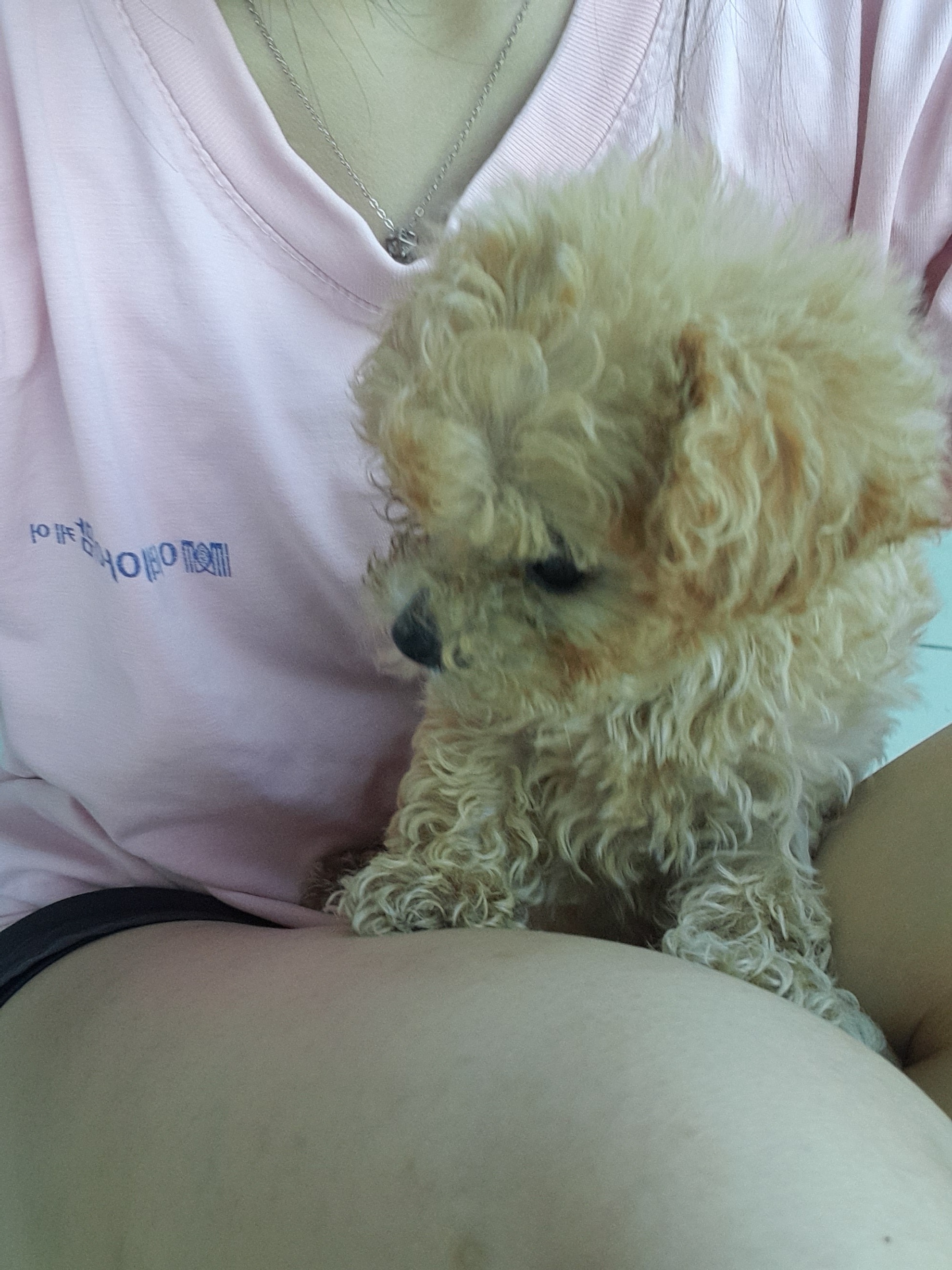image-4