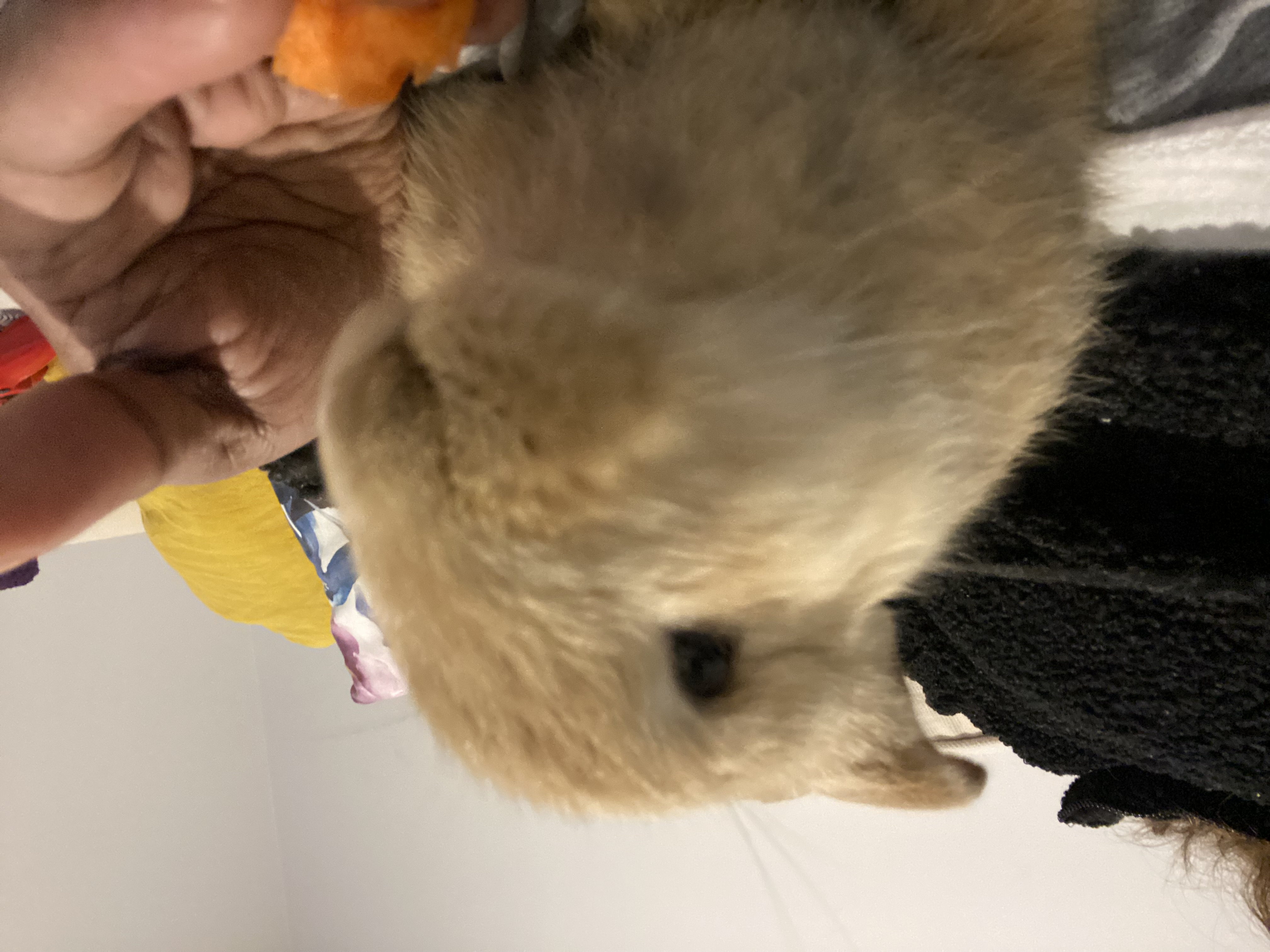 image-4