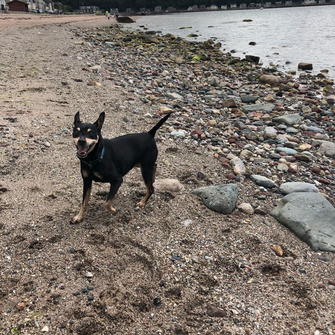 Rocco