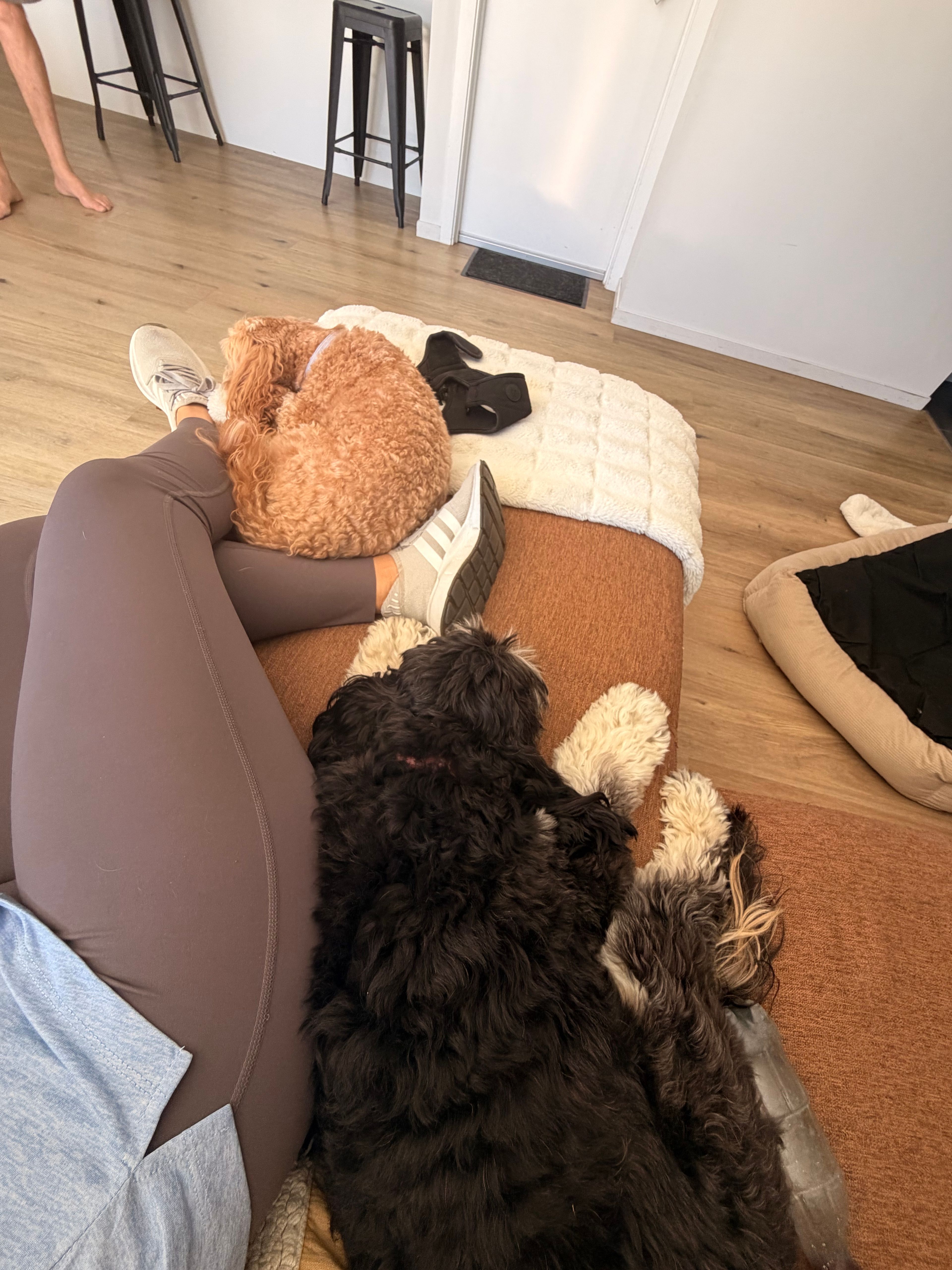 image-16