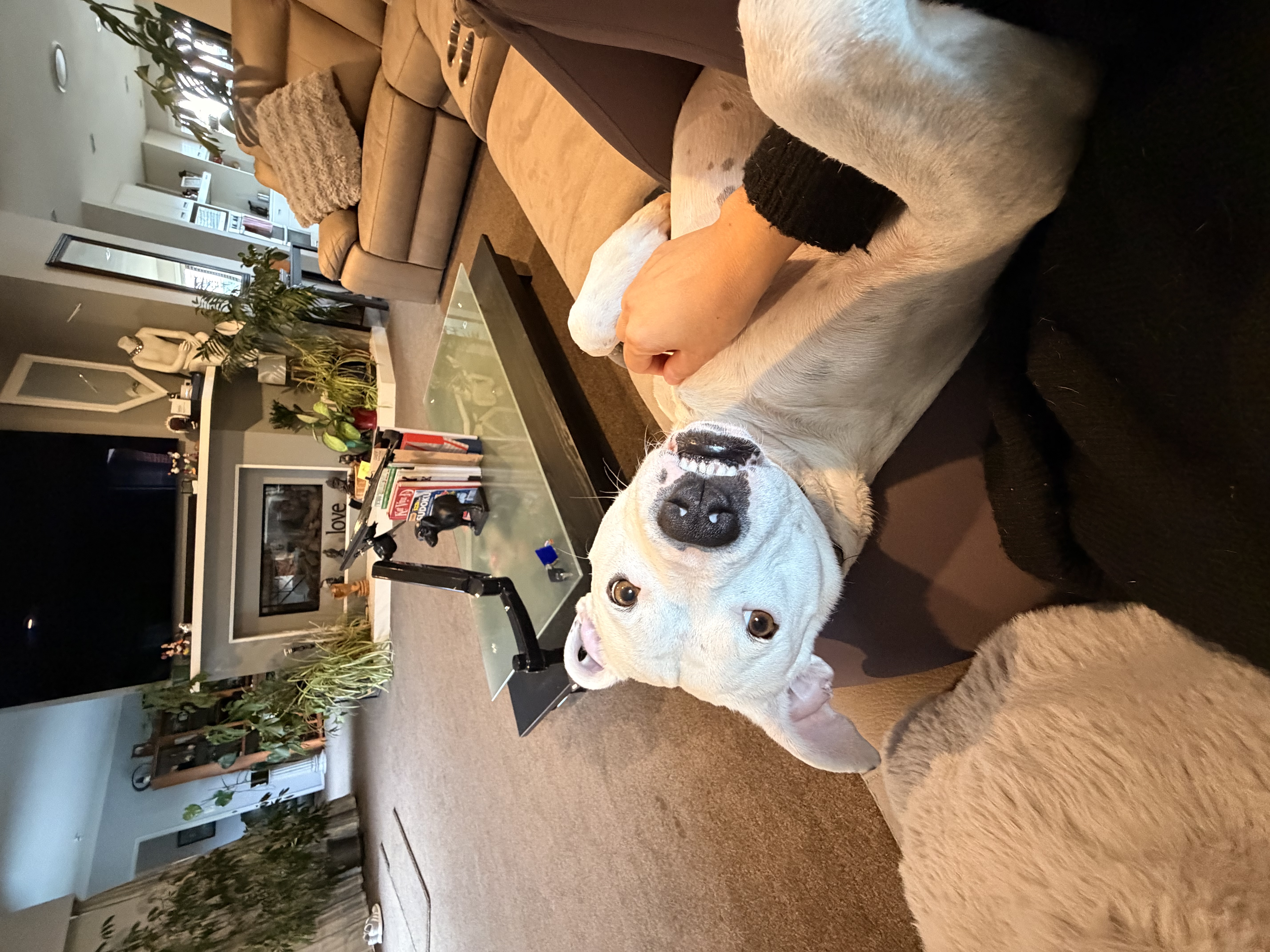 image-15