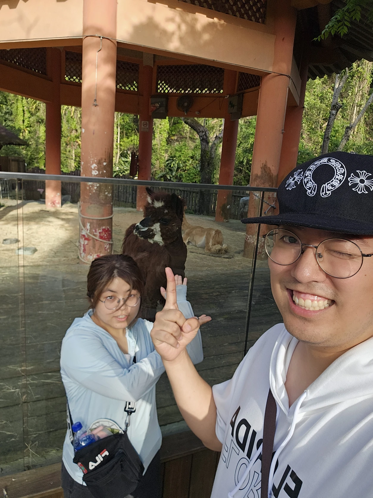 image-4