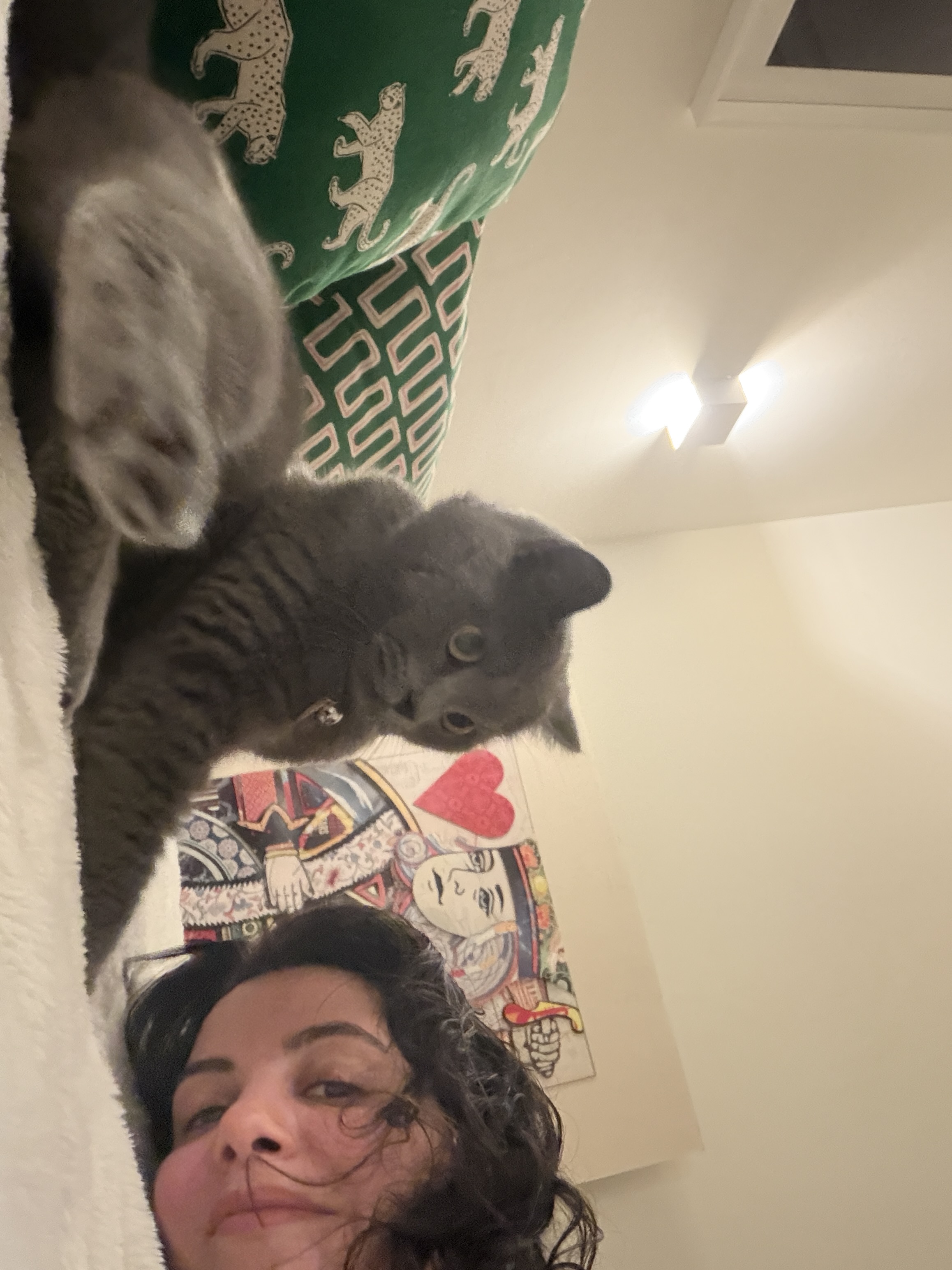 image-6