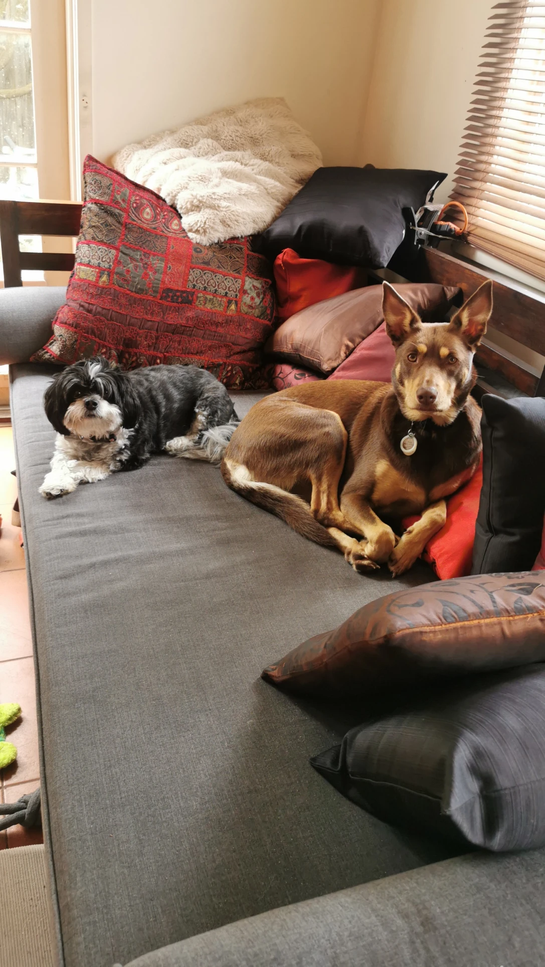 image-8