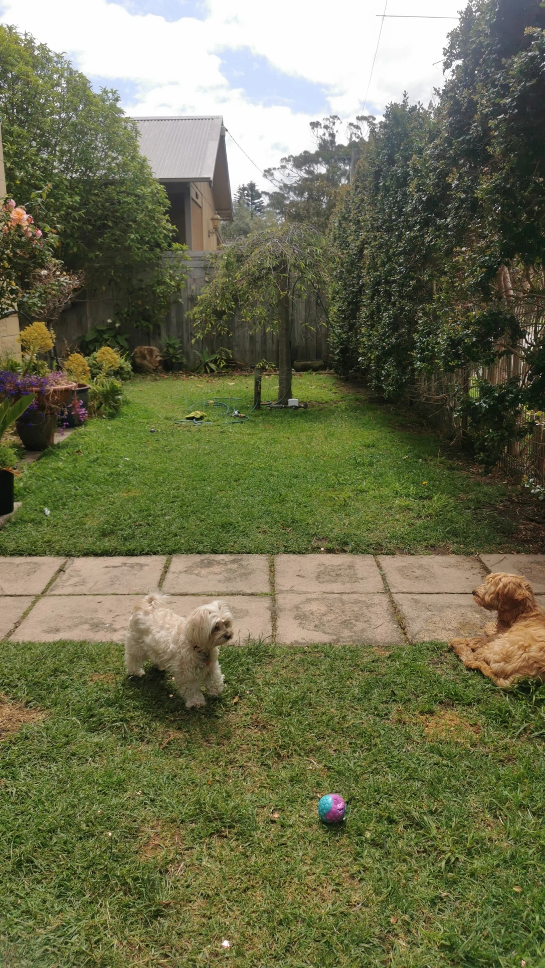 image-19