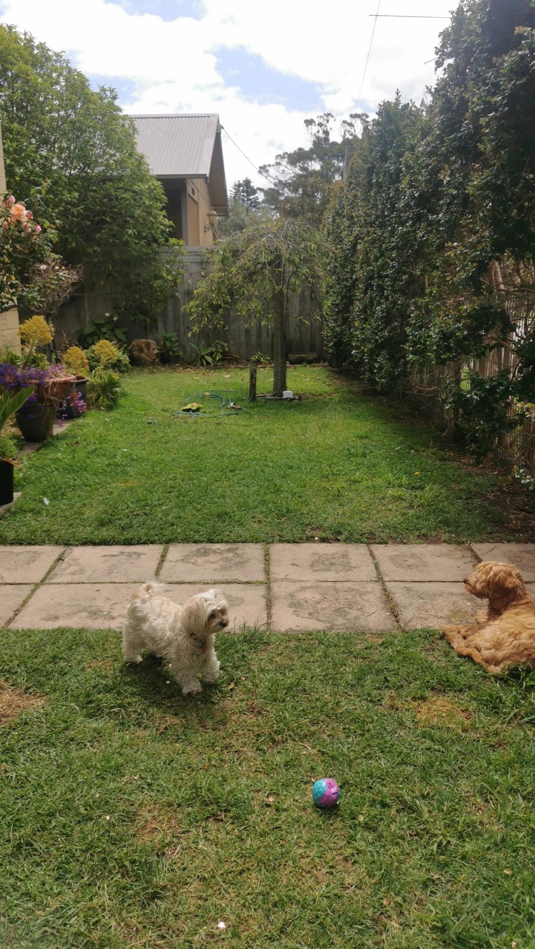 image-19