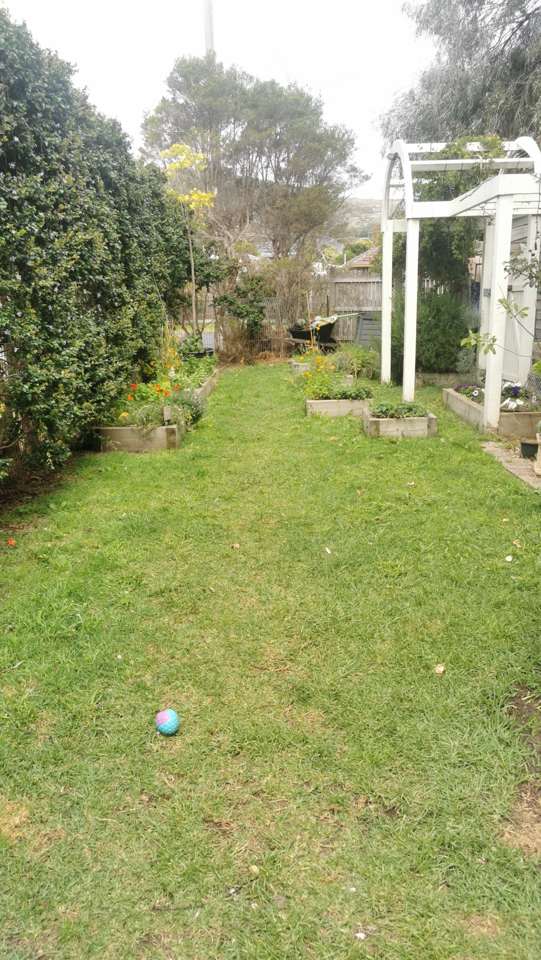 image-17