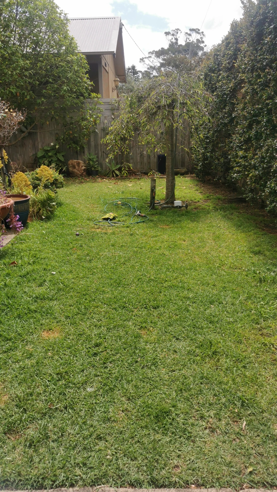 image-18