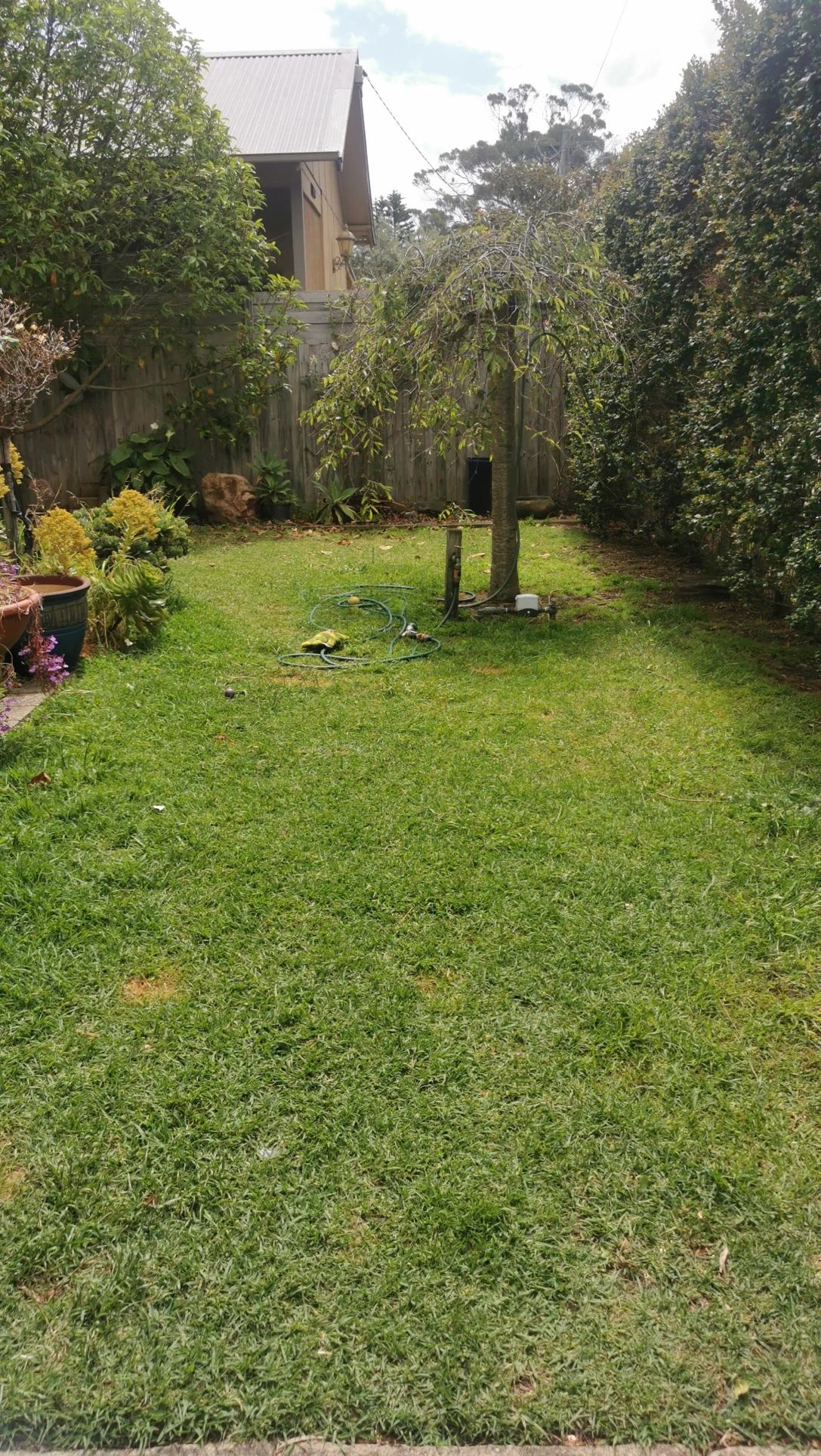 image-18