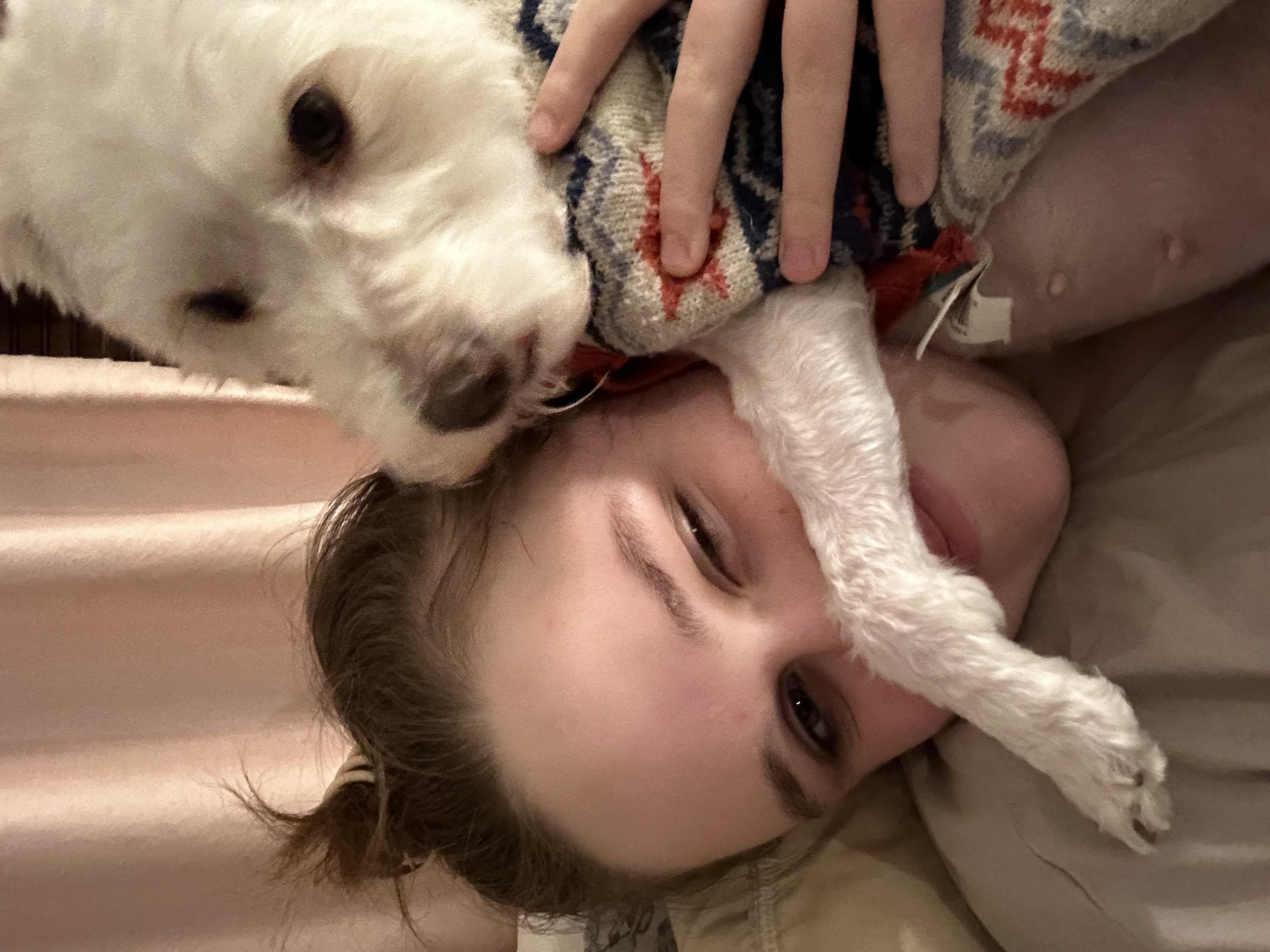 image-7