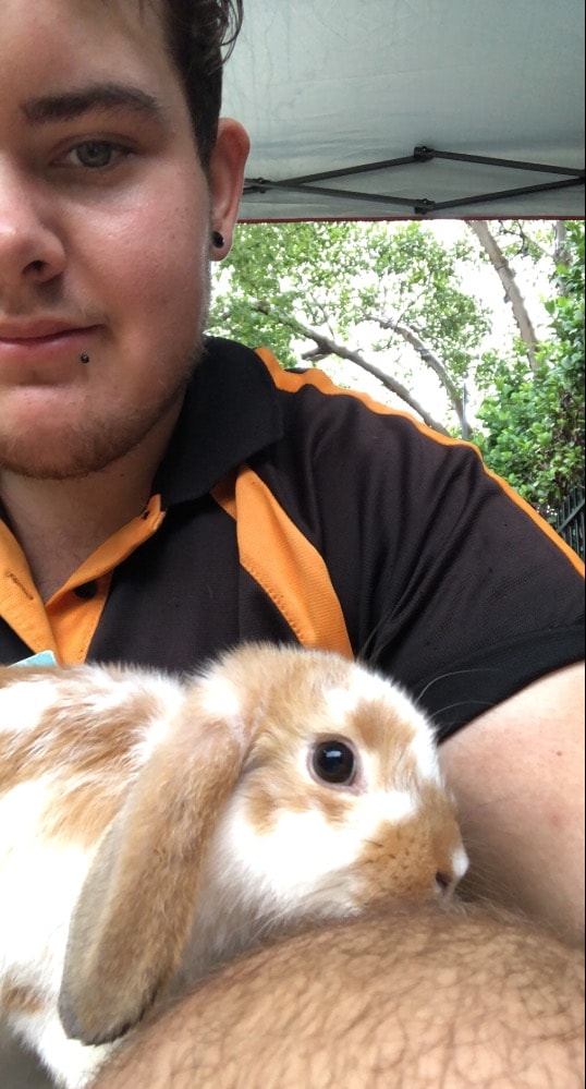 image-2