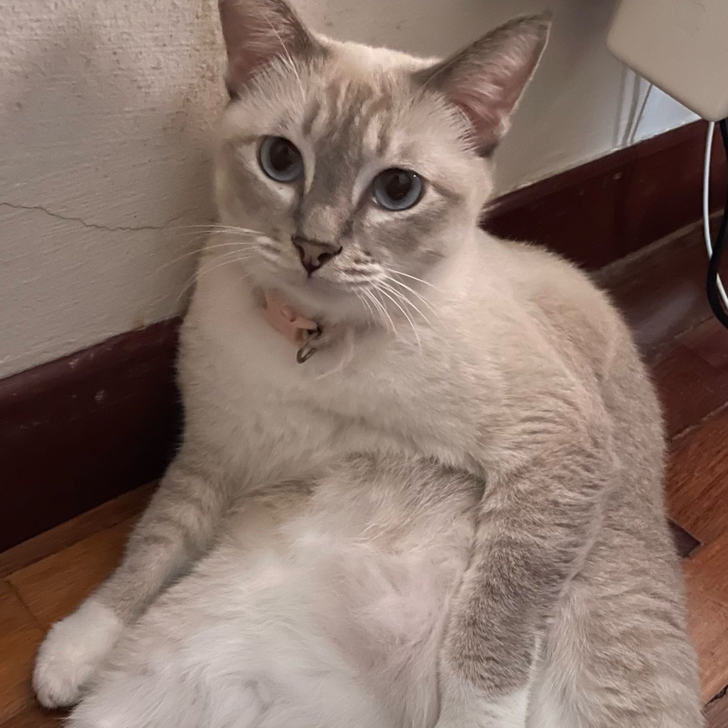 Niko