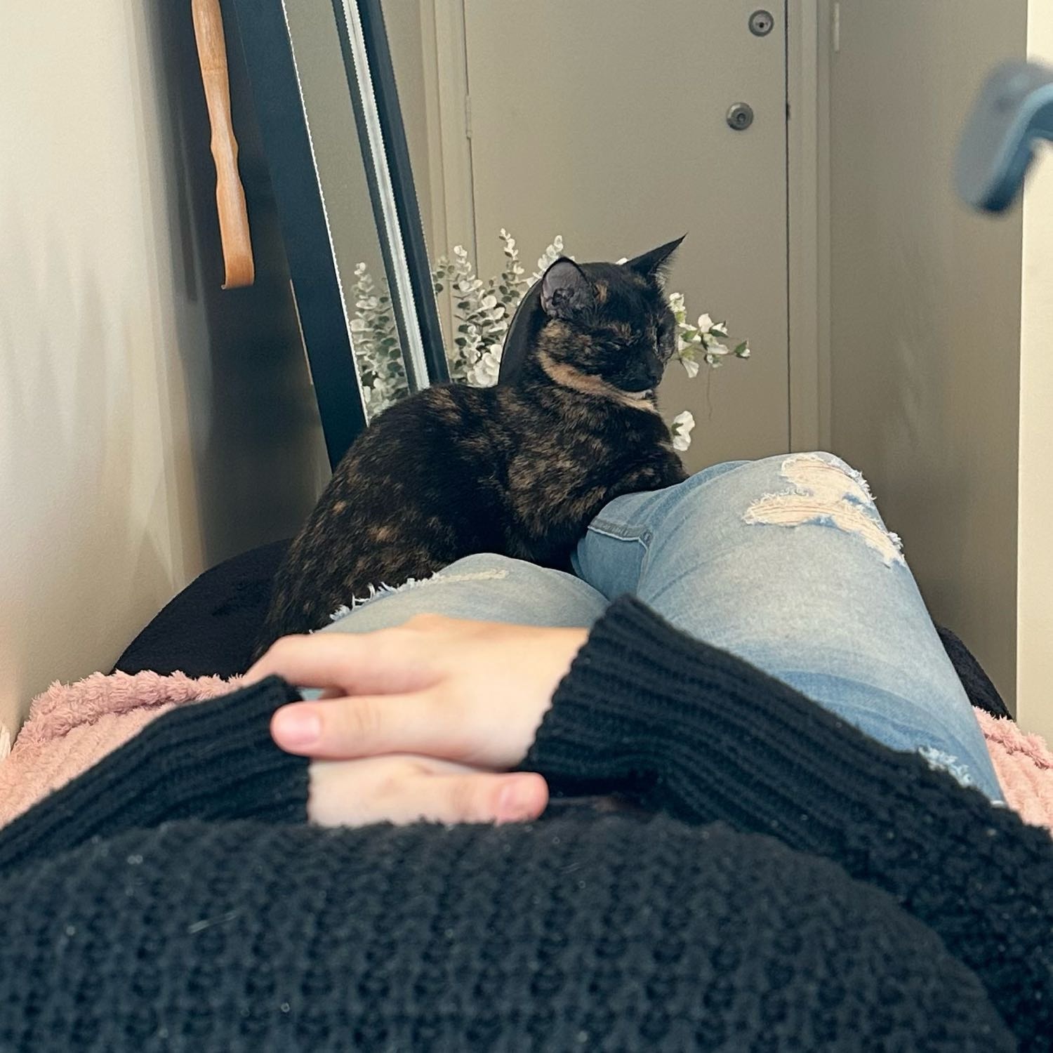 lola