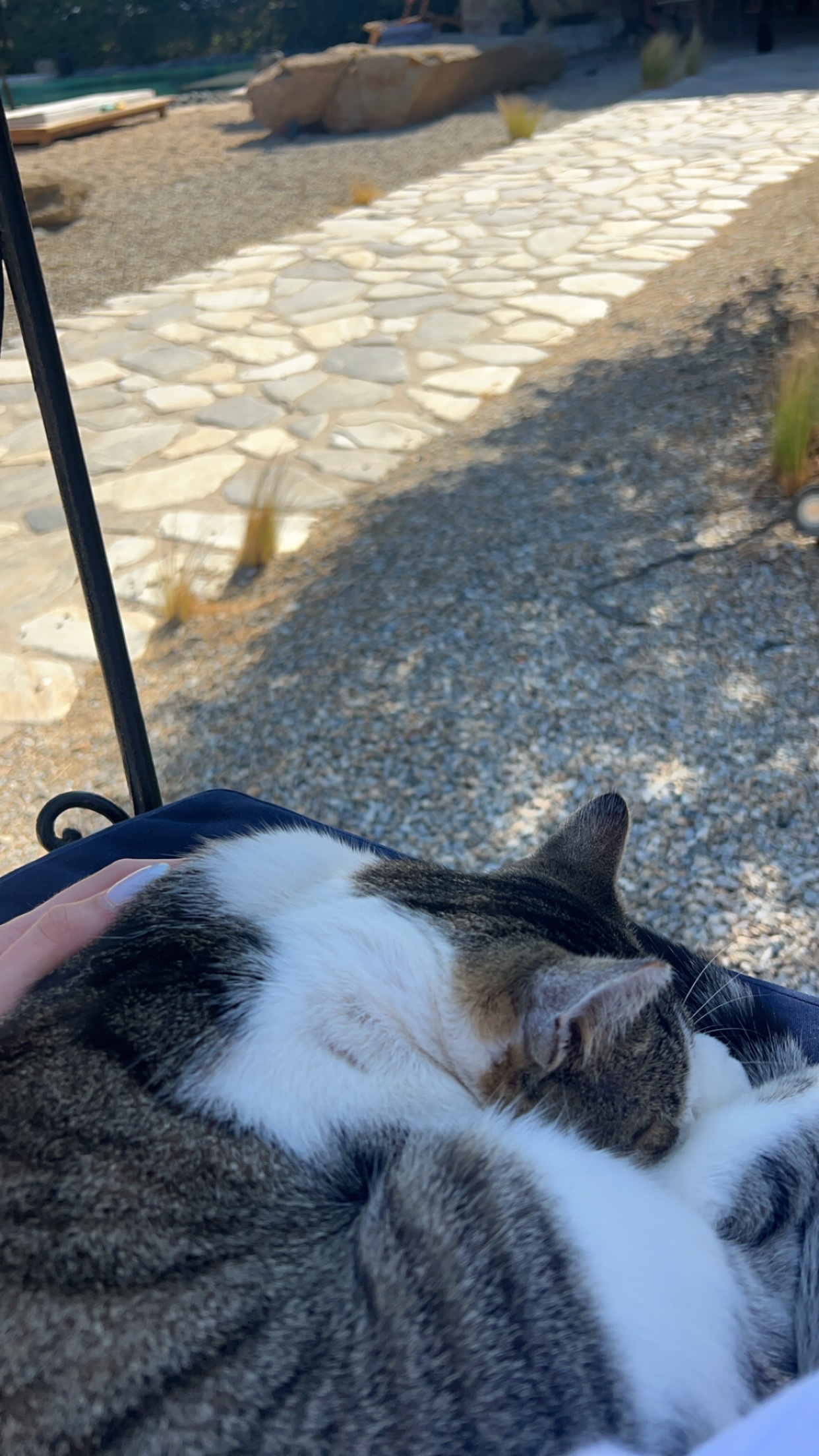 image-9