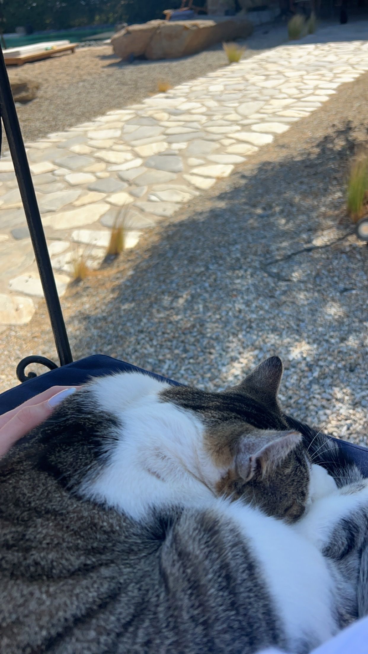 image-9