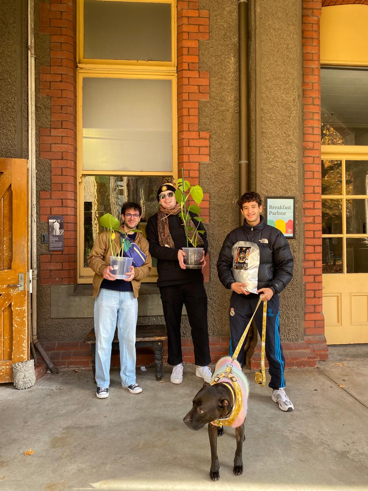 image-5