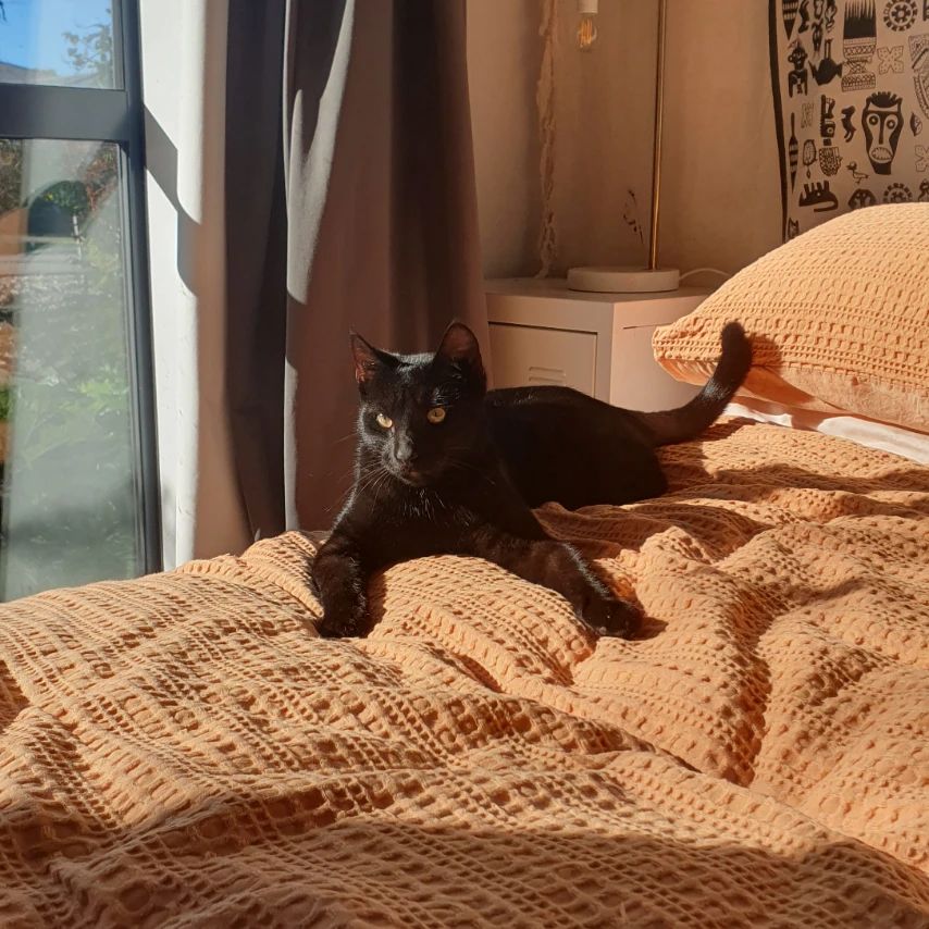 Pablo